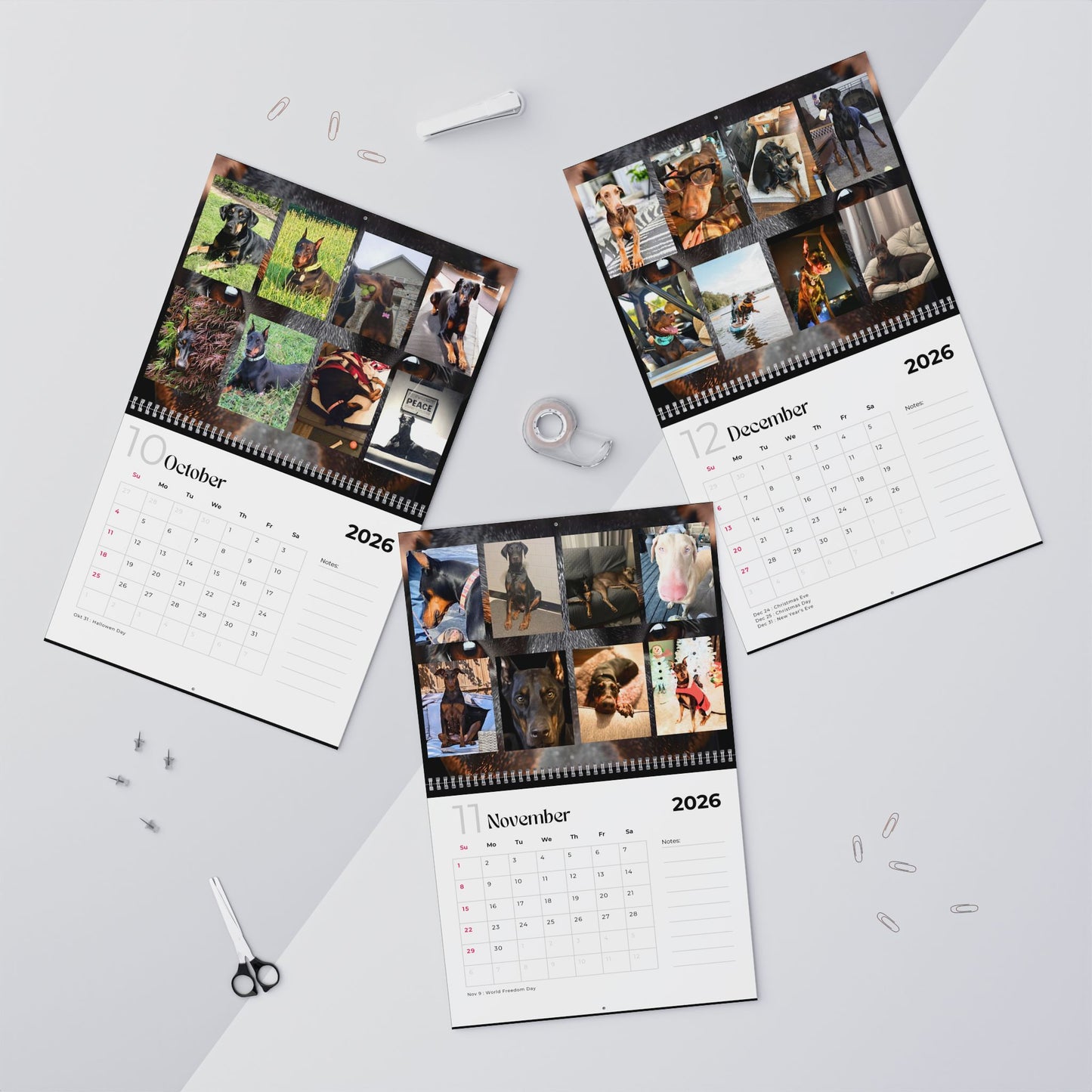 Edition 13 2026 Doberman Calendars