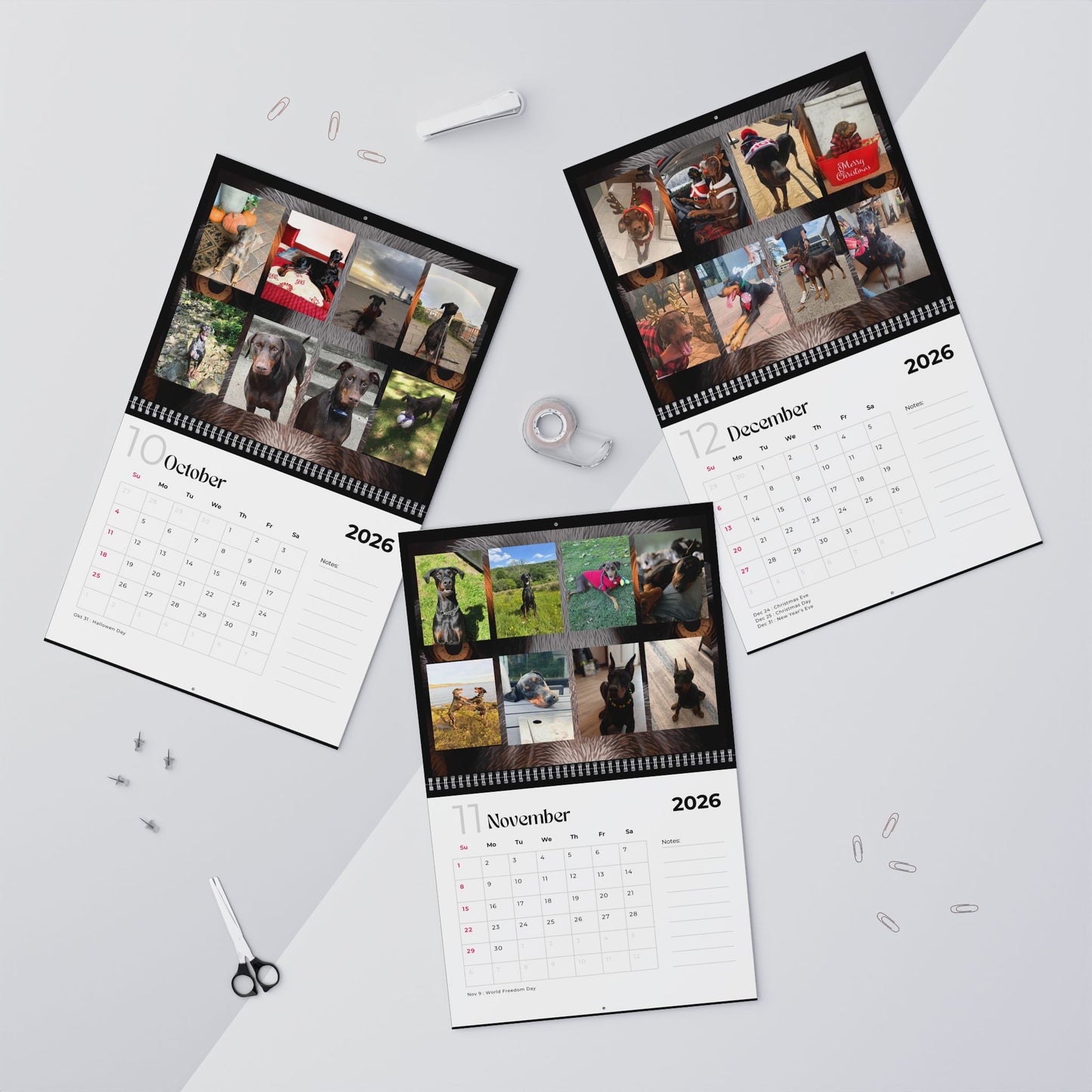 Edition 33 2026 Doberman Calendars