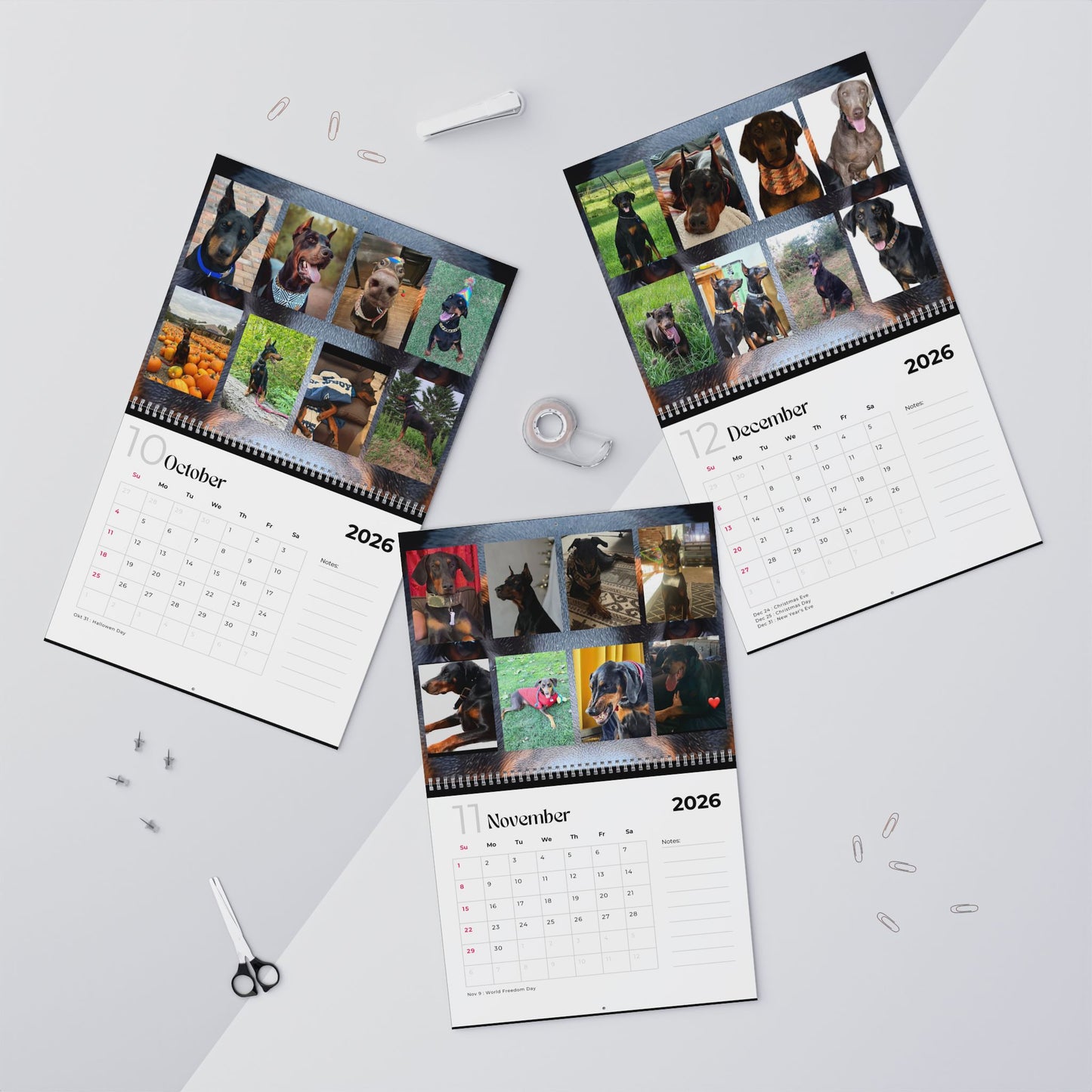 Edition 23 2026 Doberman Calendars