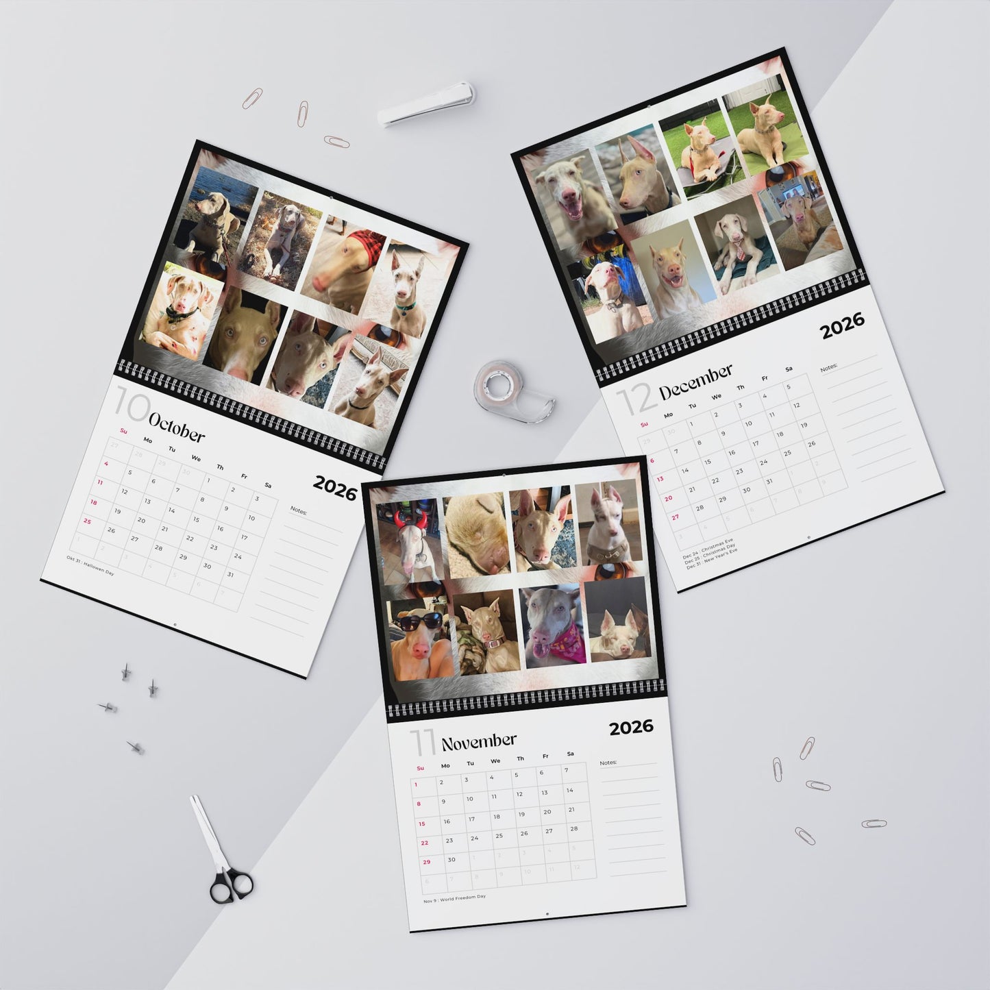Edition 25 2026 Doberman Calendars