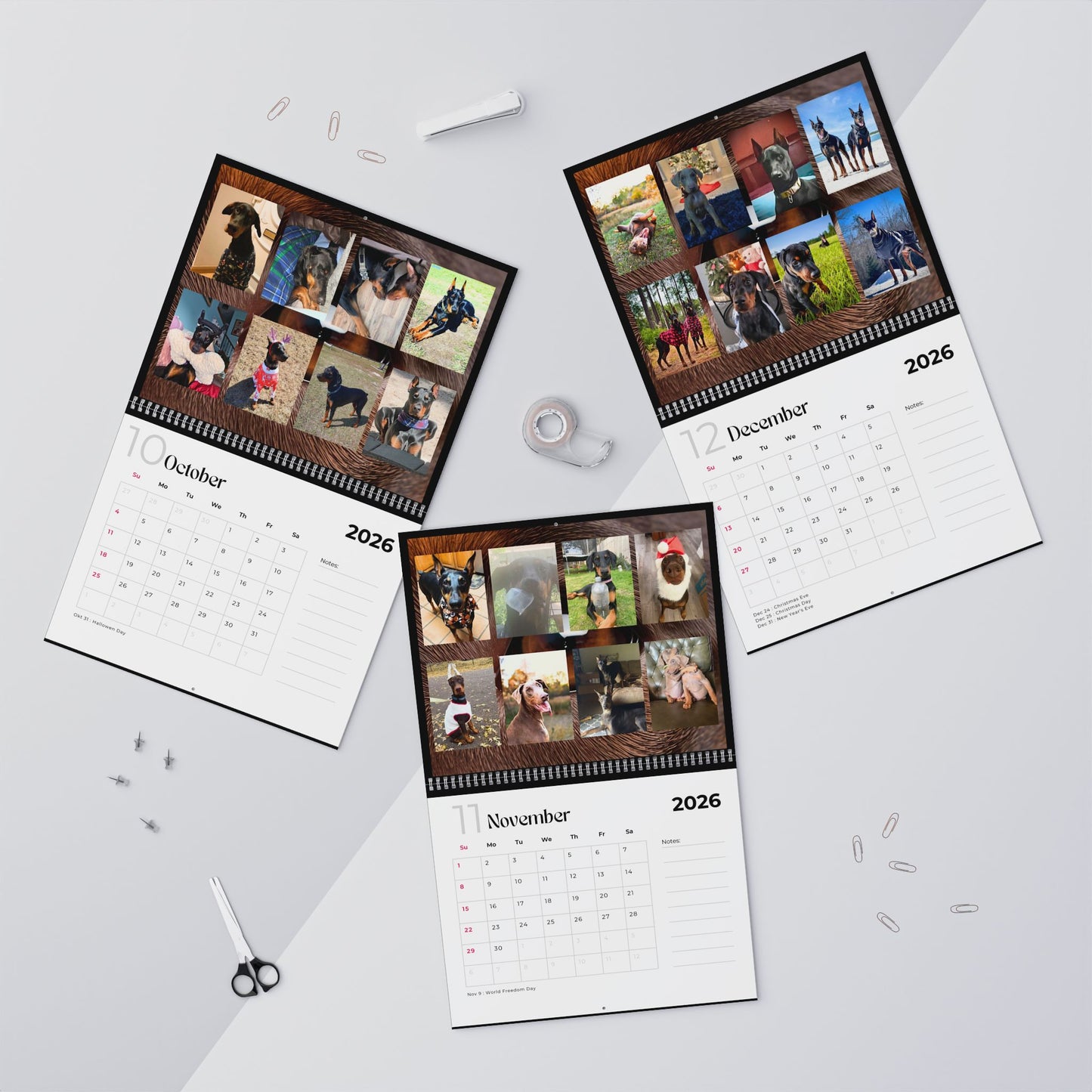 Edition 11 2026 Doberman Calendars