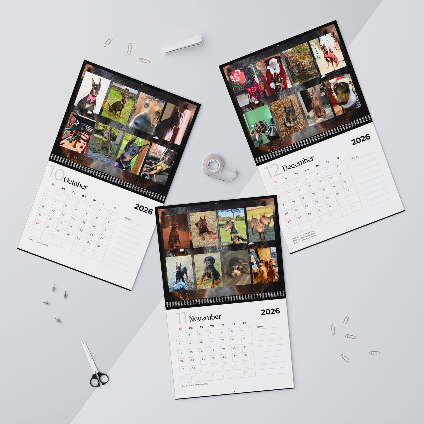 Edition 14 2026 Doberman Calendars