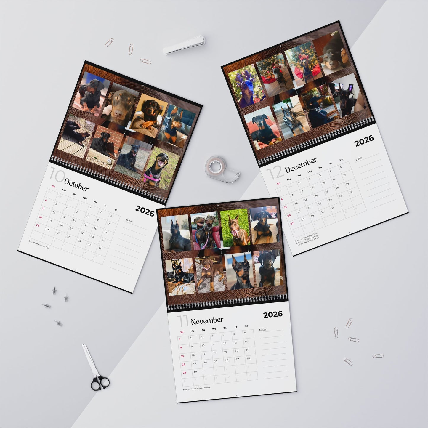 Edition 8 2026 Doberman Calendars