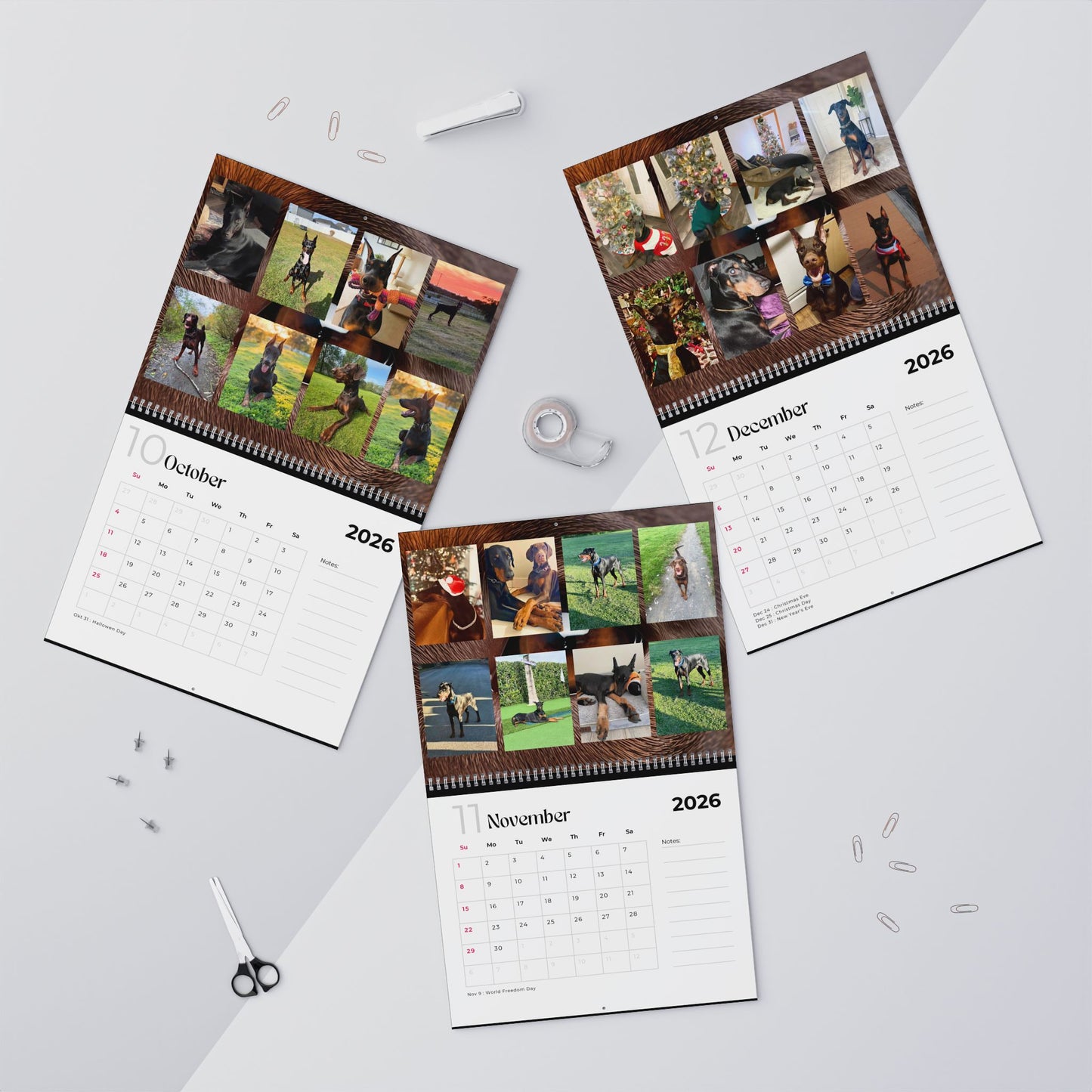 Edition 9 2026 Doberman Calendars