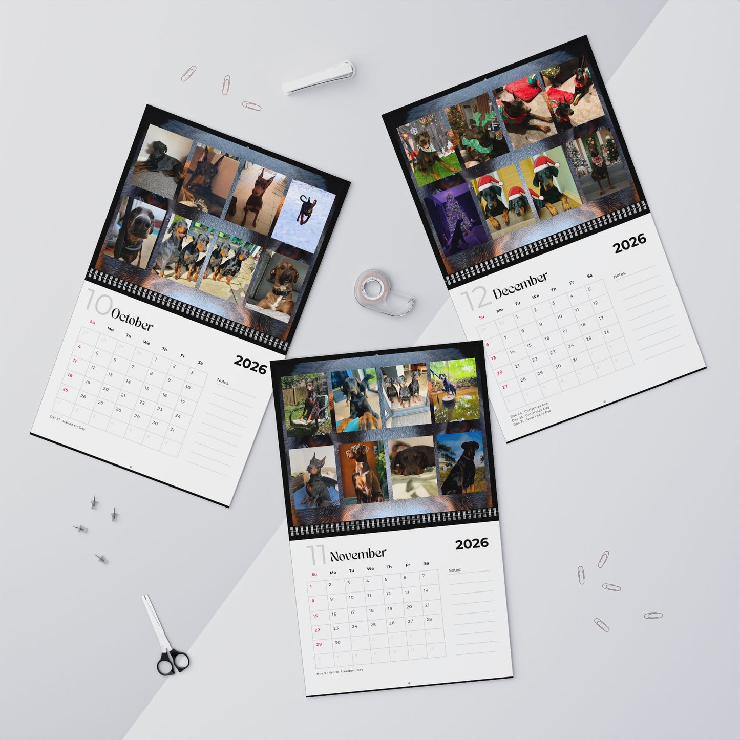 Edition 20 2026 Doberman Calendars