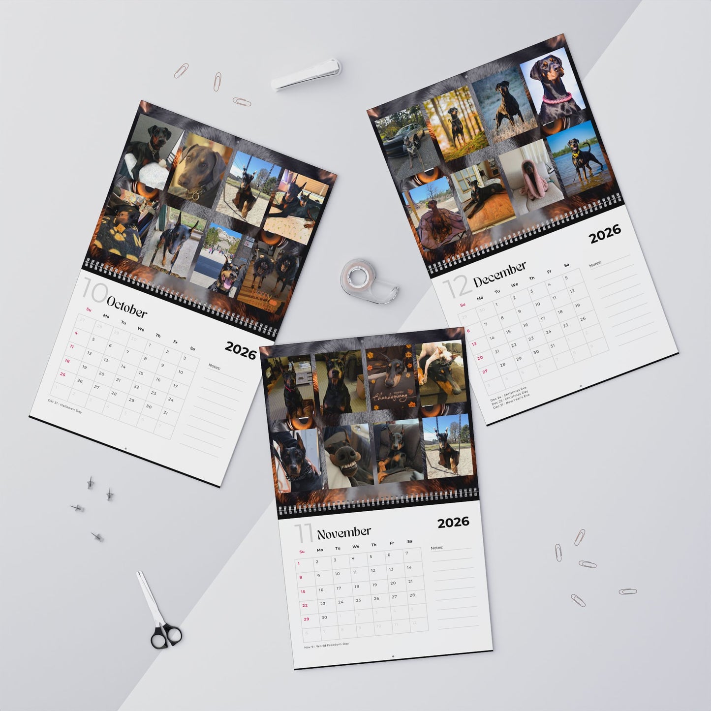Edition 19 2026 Doberman Calendars