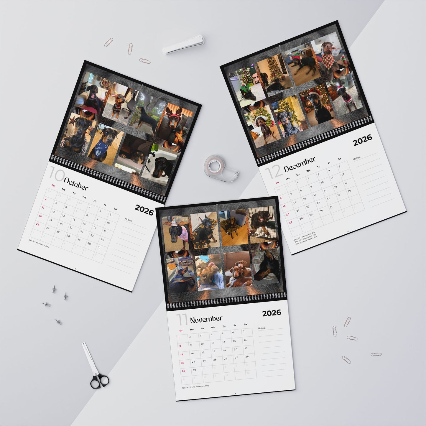 Edition 30 2026 Doberman Calendars