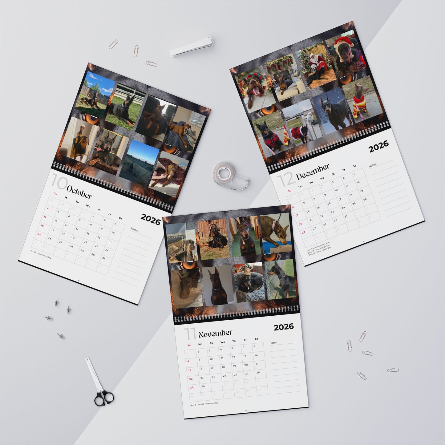 Edition 18 2026 Doberman Calendars