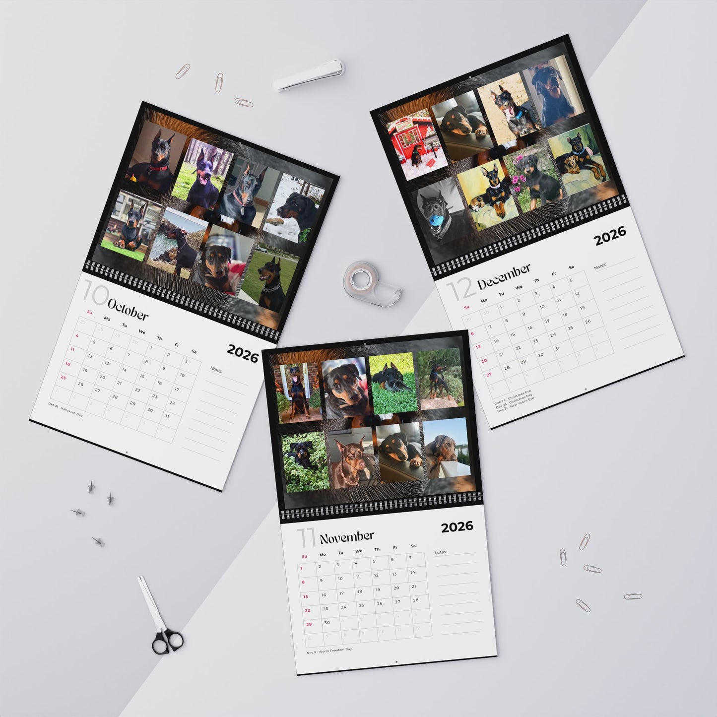 Edition 5 2026 Doberman Calendars