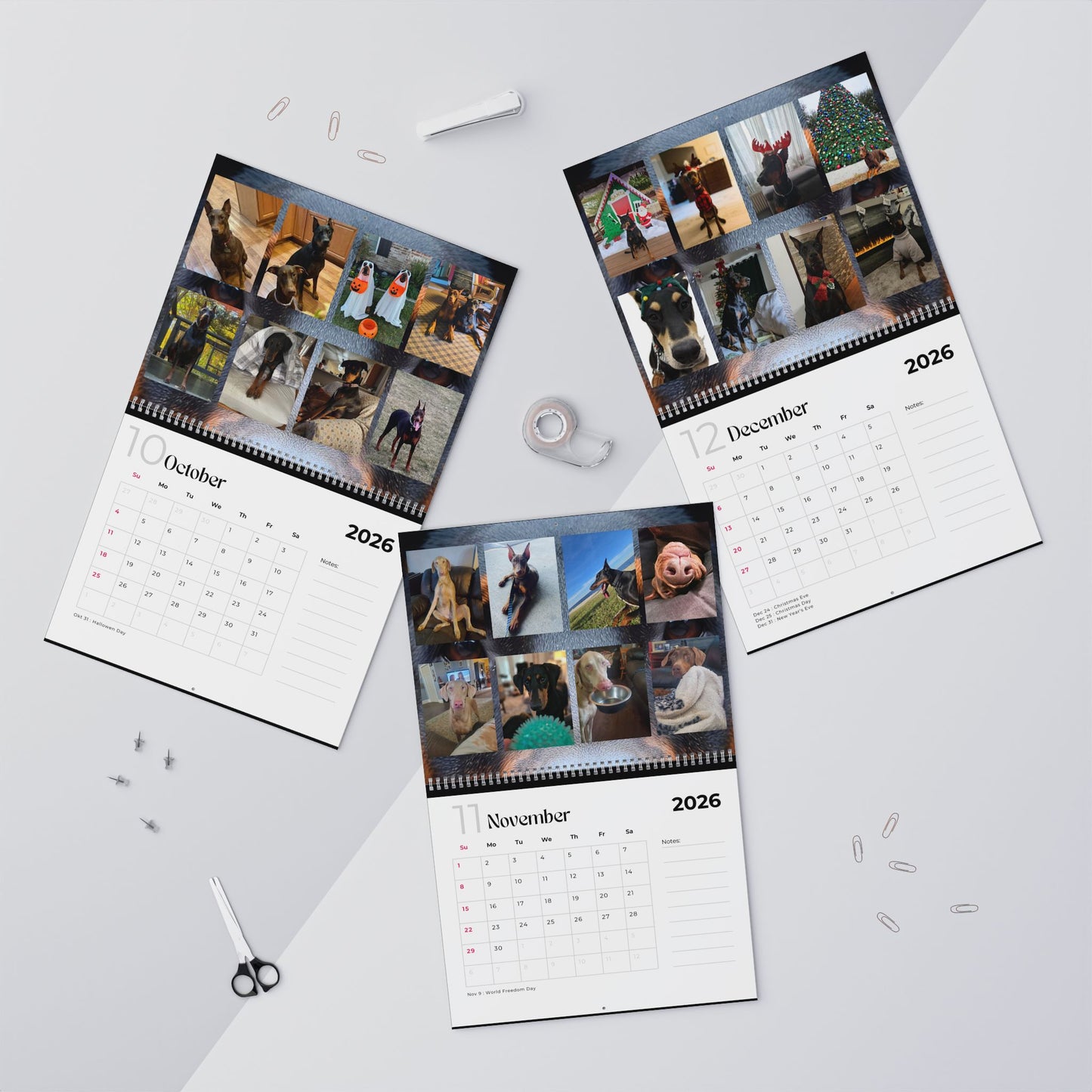 Edition 21 2026 Doberman Calendars