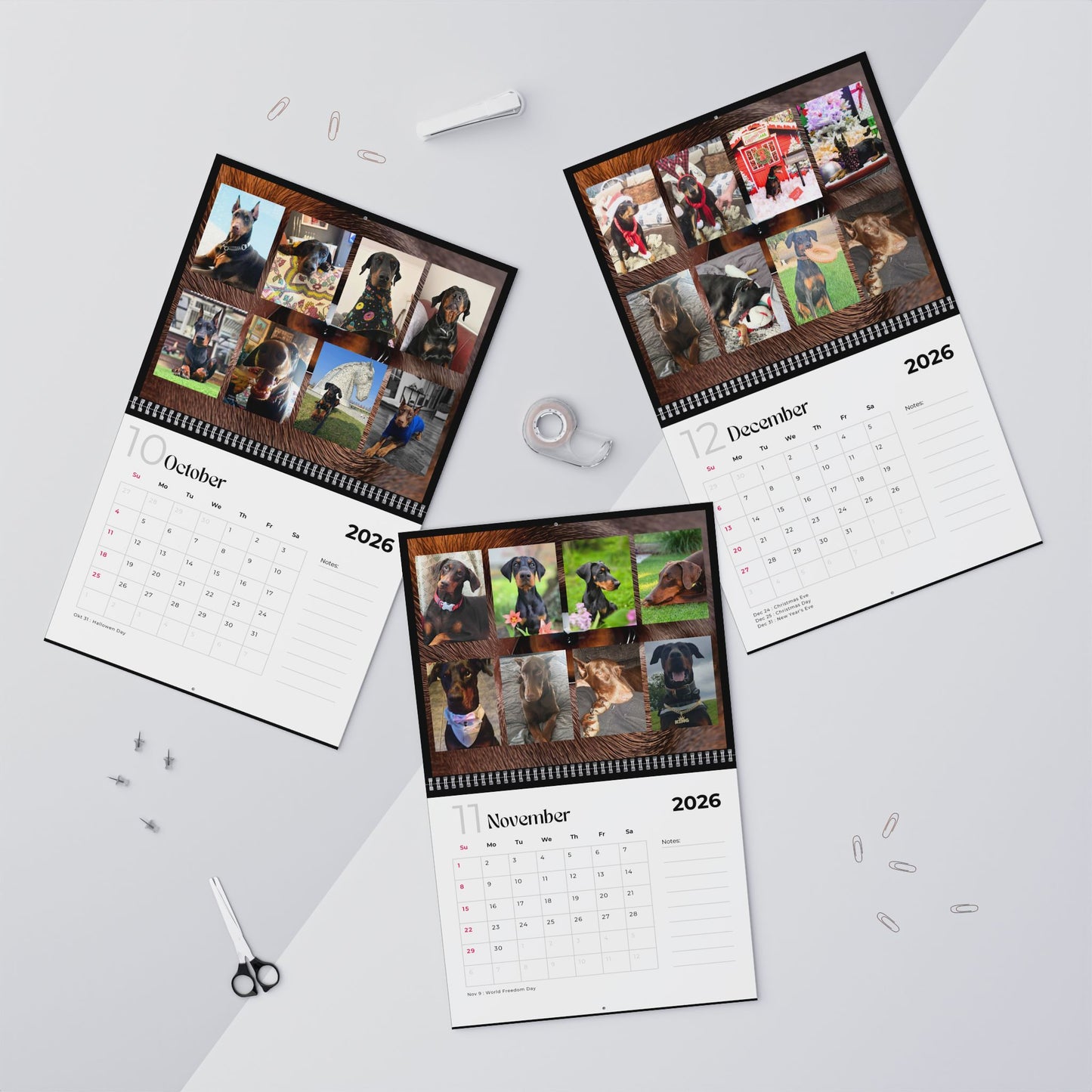 Edition 6 2026 Doberman Calendars