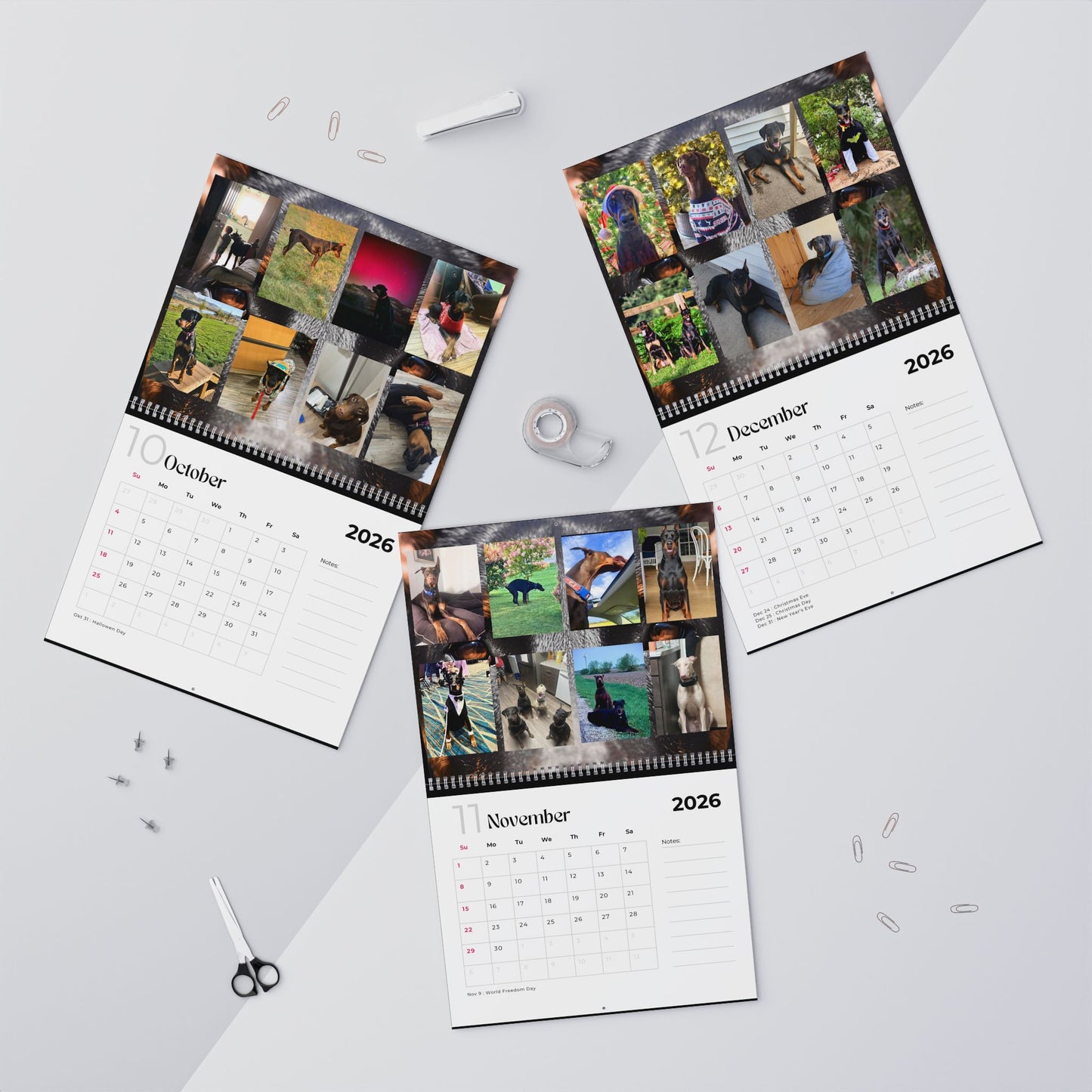 Edition 16 2026 Doberman Calendars