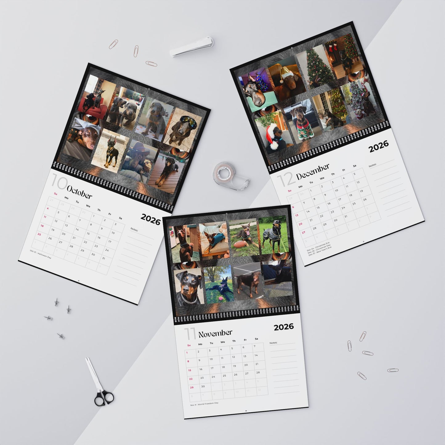 Edition 32 2026 Doberman Calendars