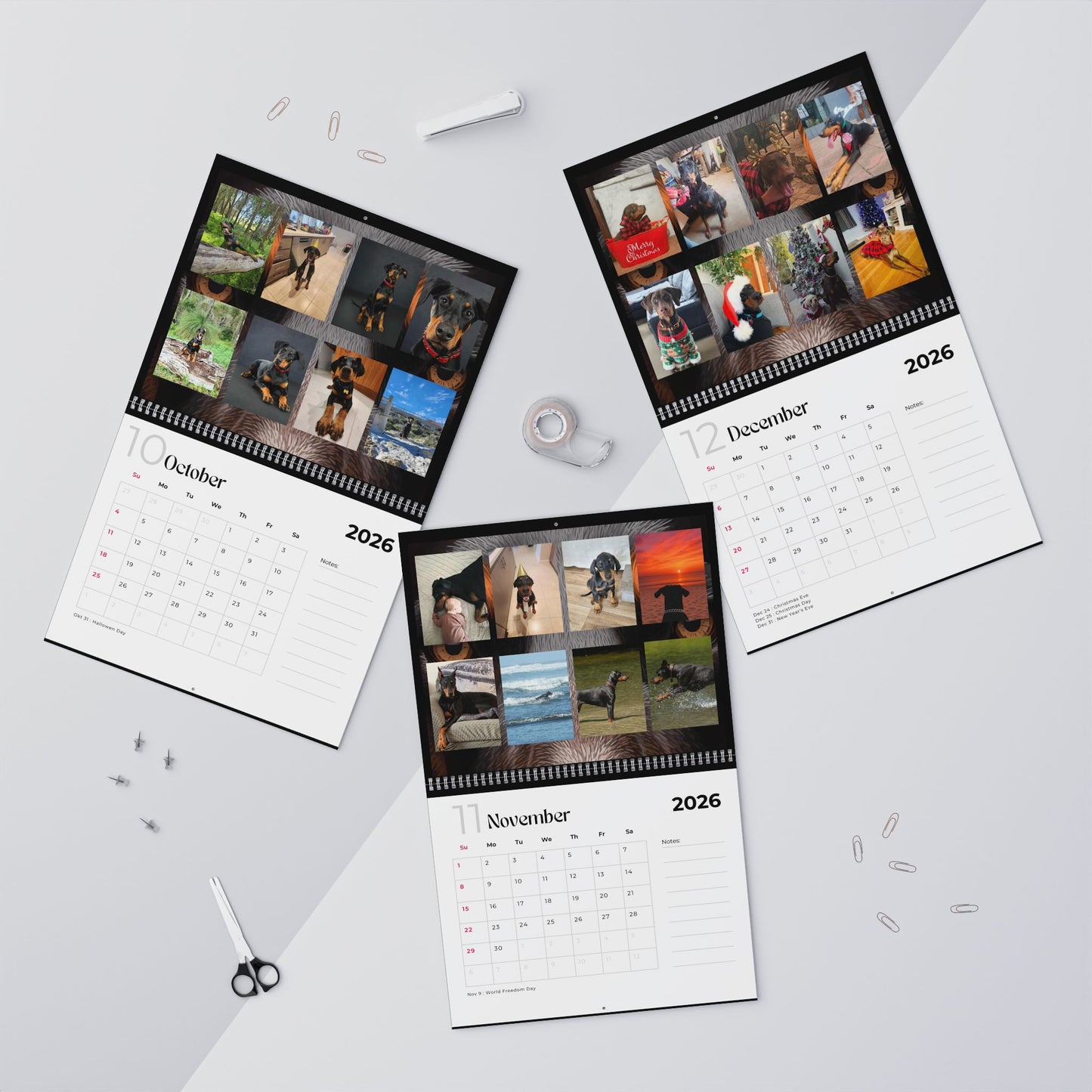 Edition 34 2026 Doberman Calendars