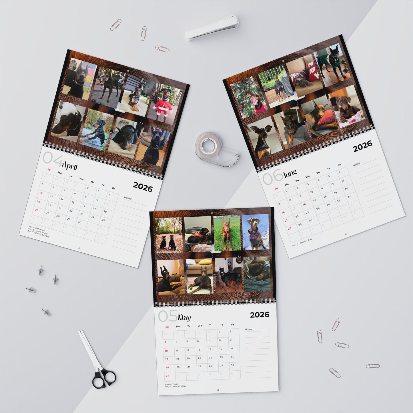 Edition 12 2026 Doberman Calendars