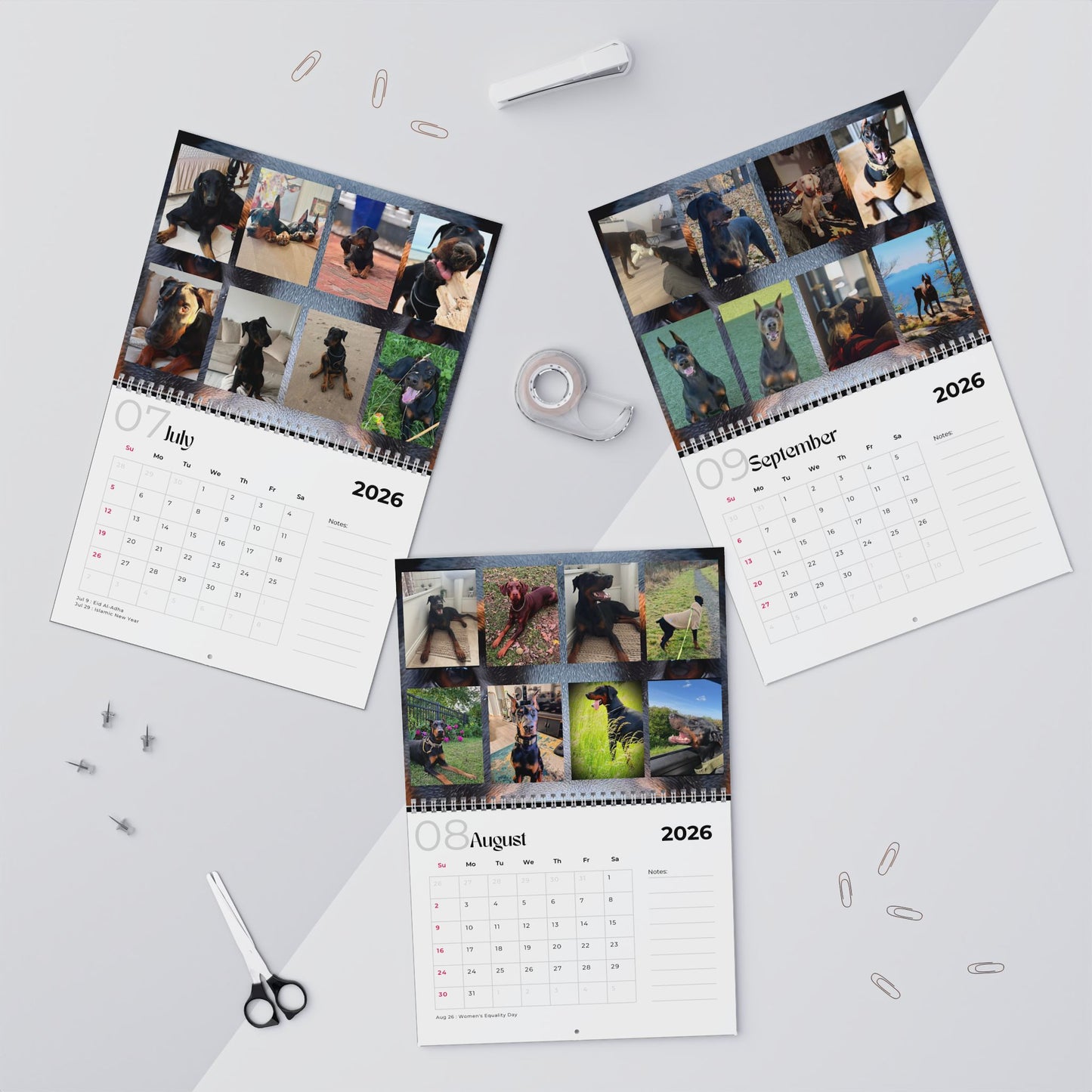 Edition 22 2026 Doberman Calendars