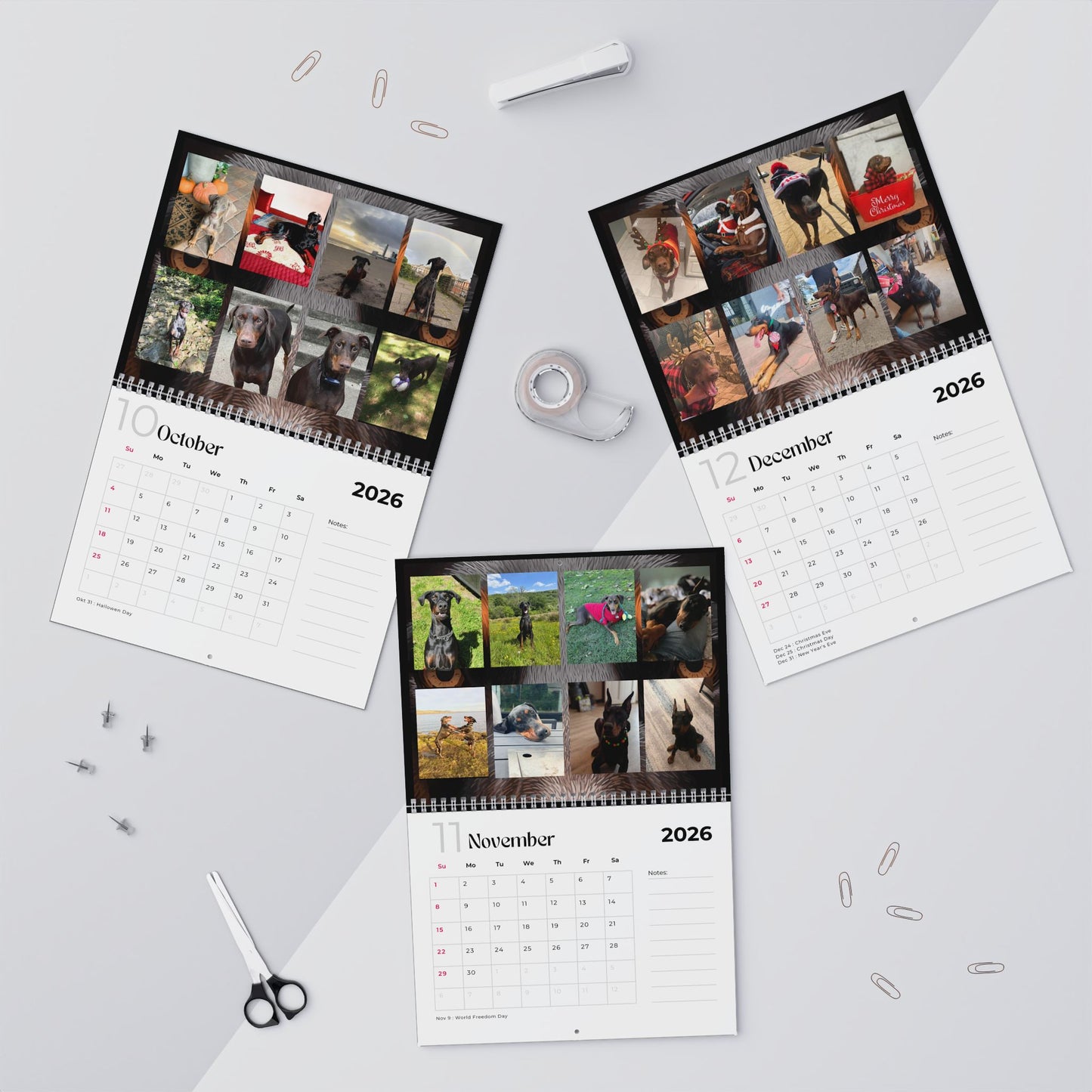 Edition 33 2026 Doberman Calendars
