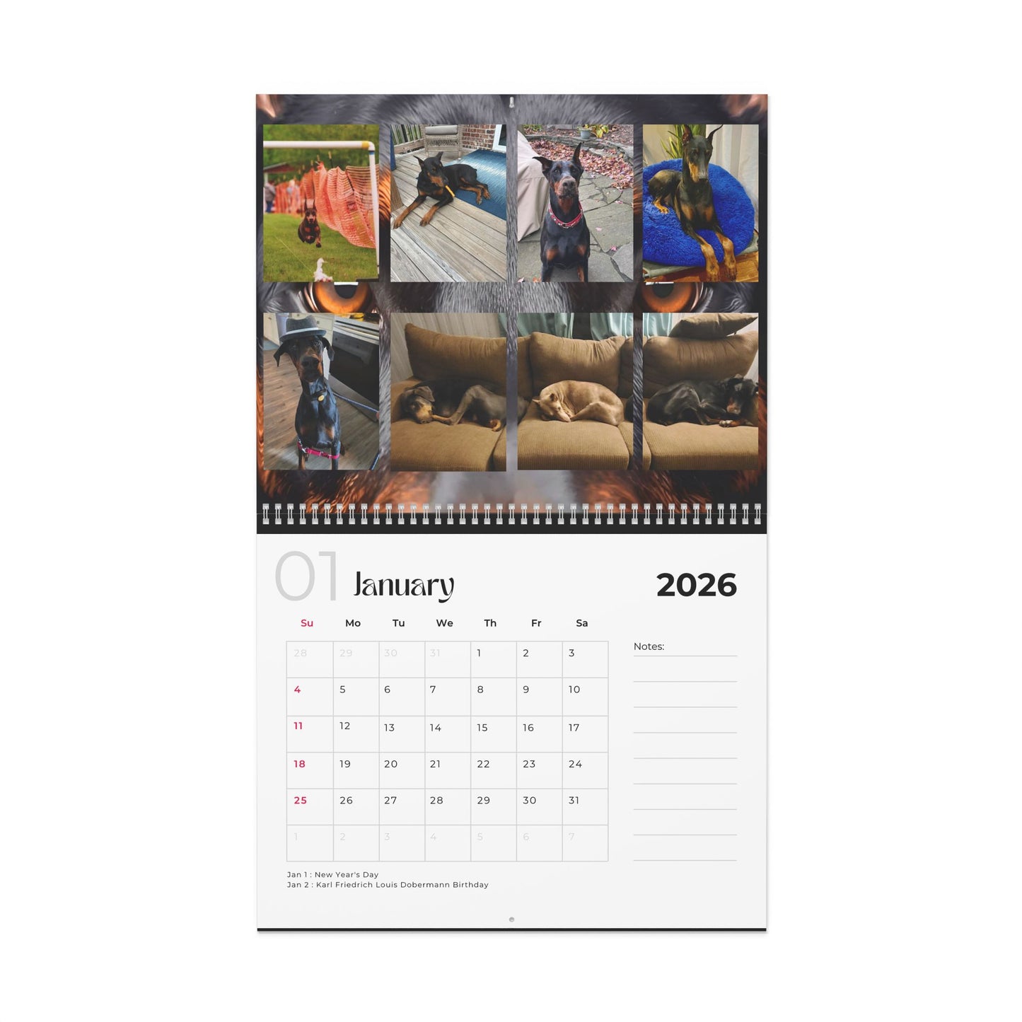 Edition 19 2026 Doberman Calendars