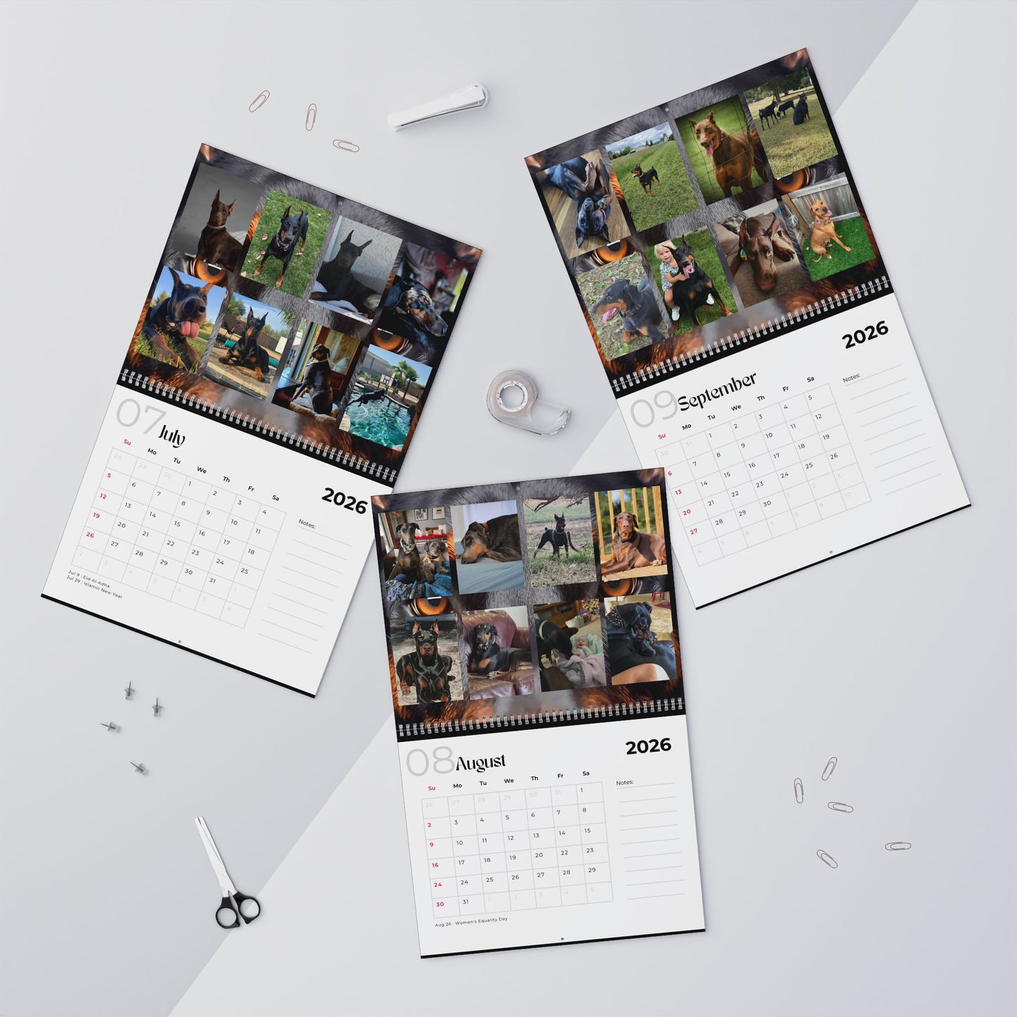 Edition 18 2026 Doberman Calendars