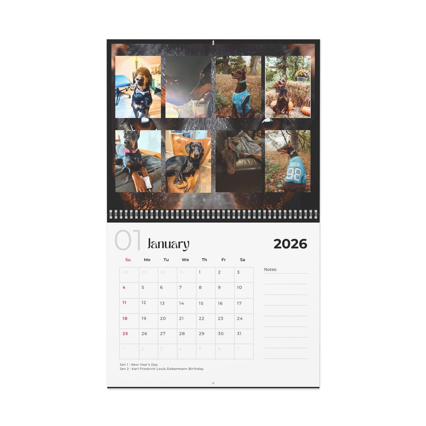 Edition 14 2026 Doberman Calendars