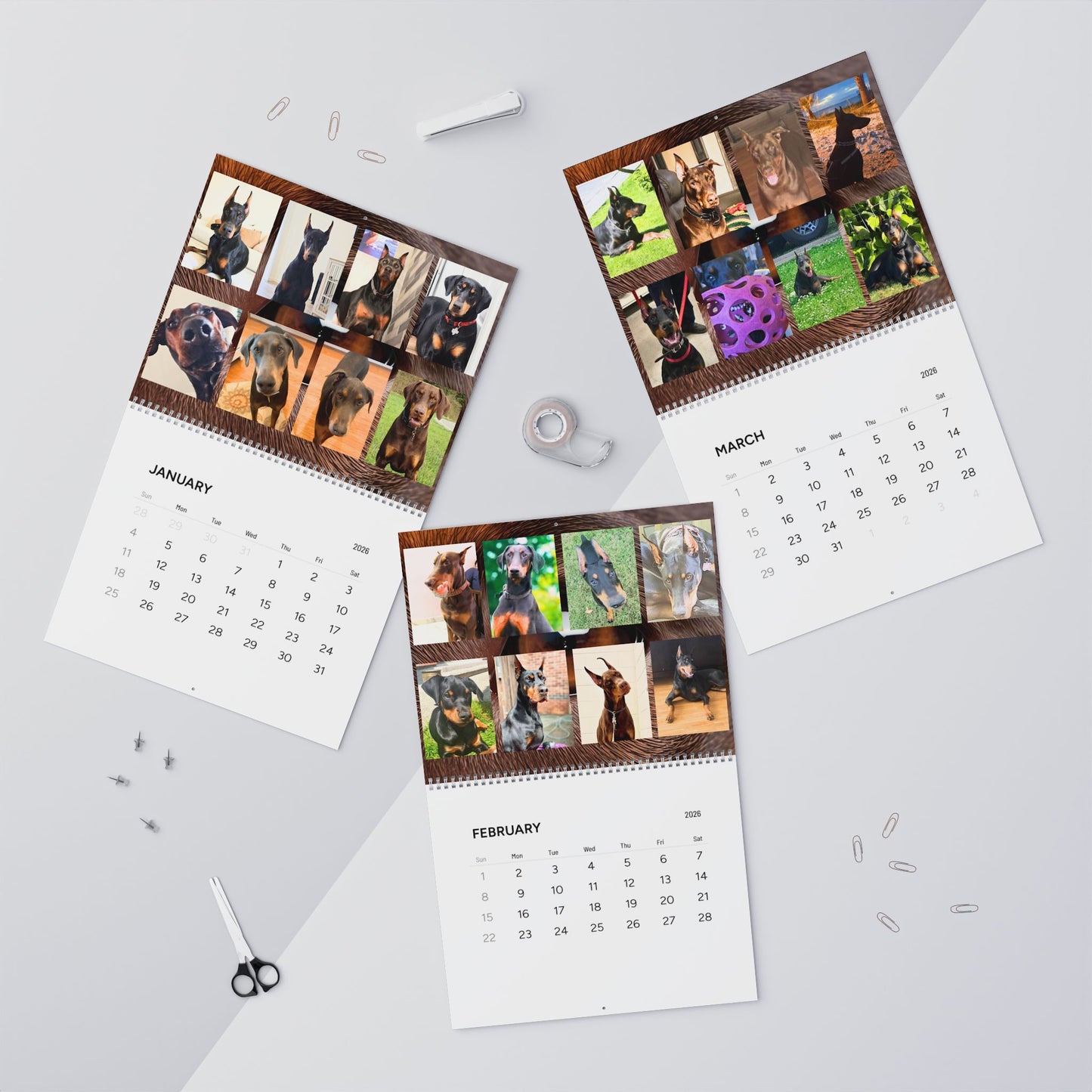 Doberman Edition 7  Wall Calendar 2026