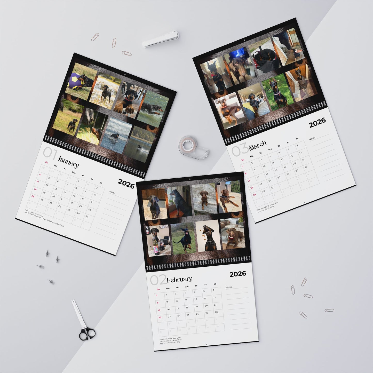 Edition 35 2026 Doberman Calendars
