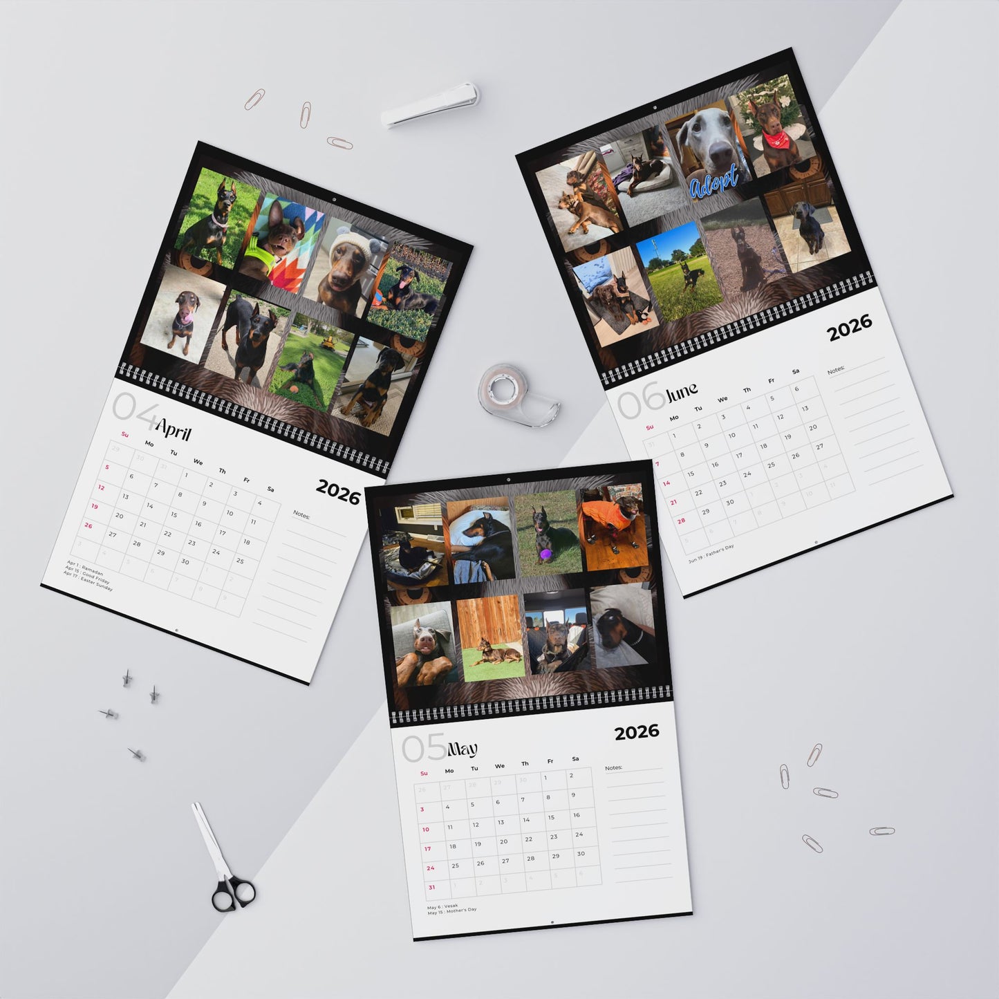 Edition 35 2026 Doberman Calendars