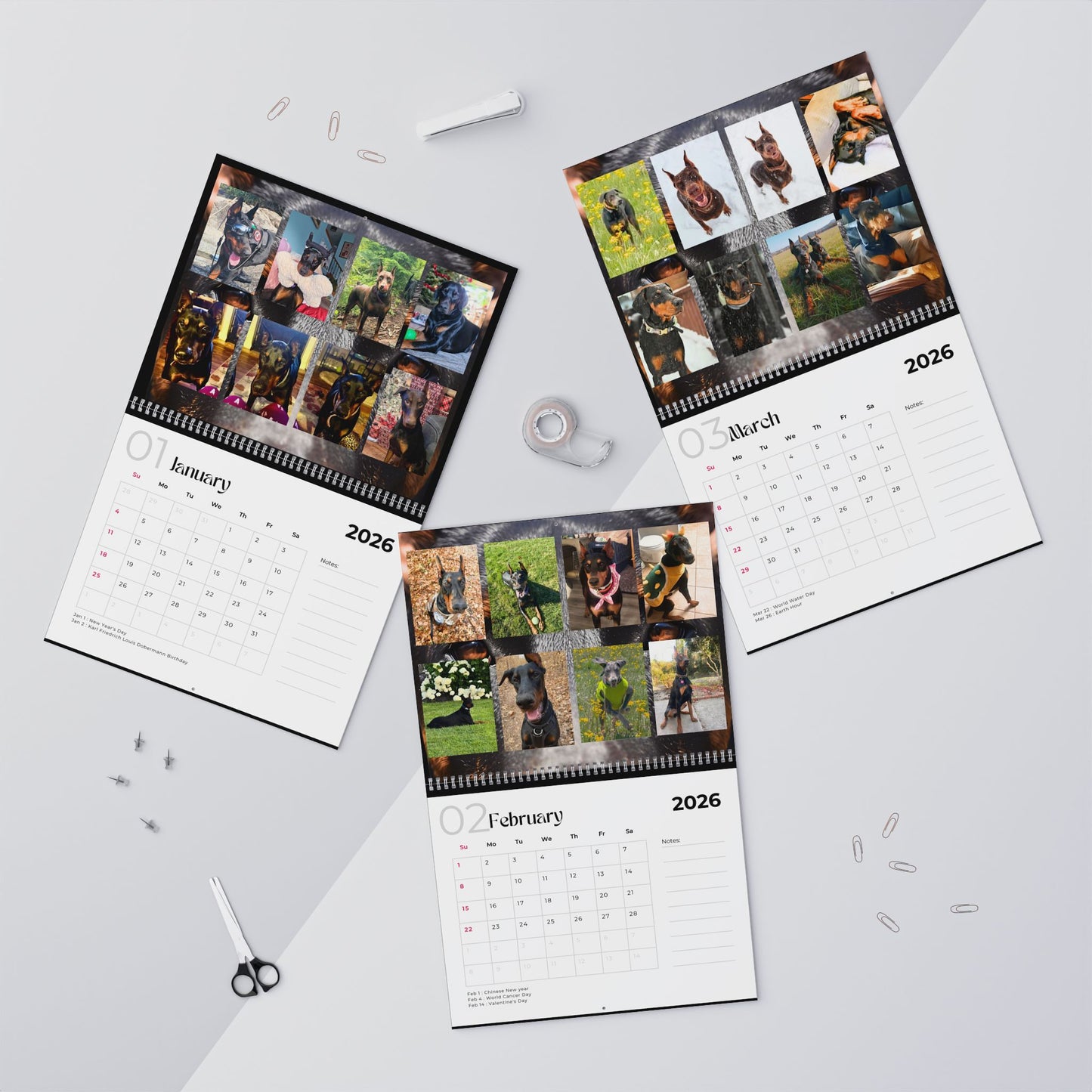 Edition 15 2026 Doberman Calendars