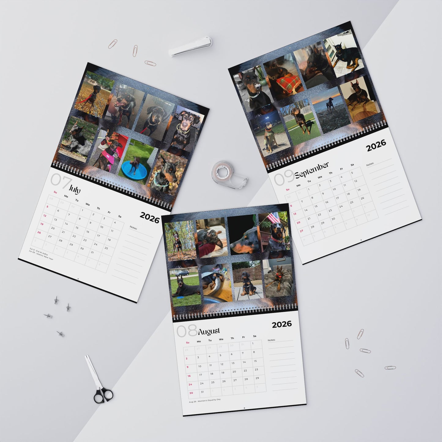 Edition 21 2026 Doberman Calendars