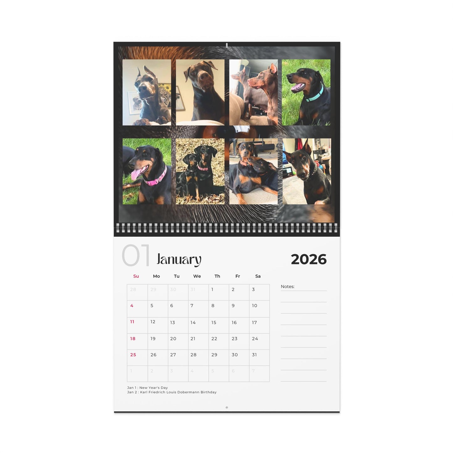 Edition 5 2026 Doberman Calendars