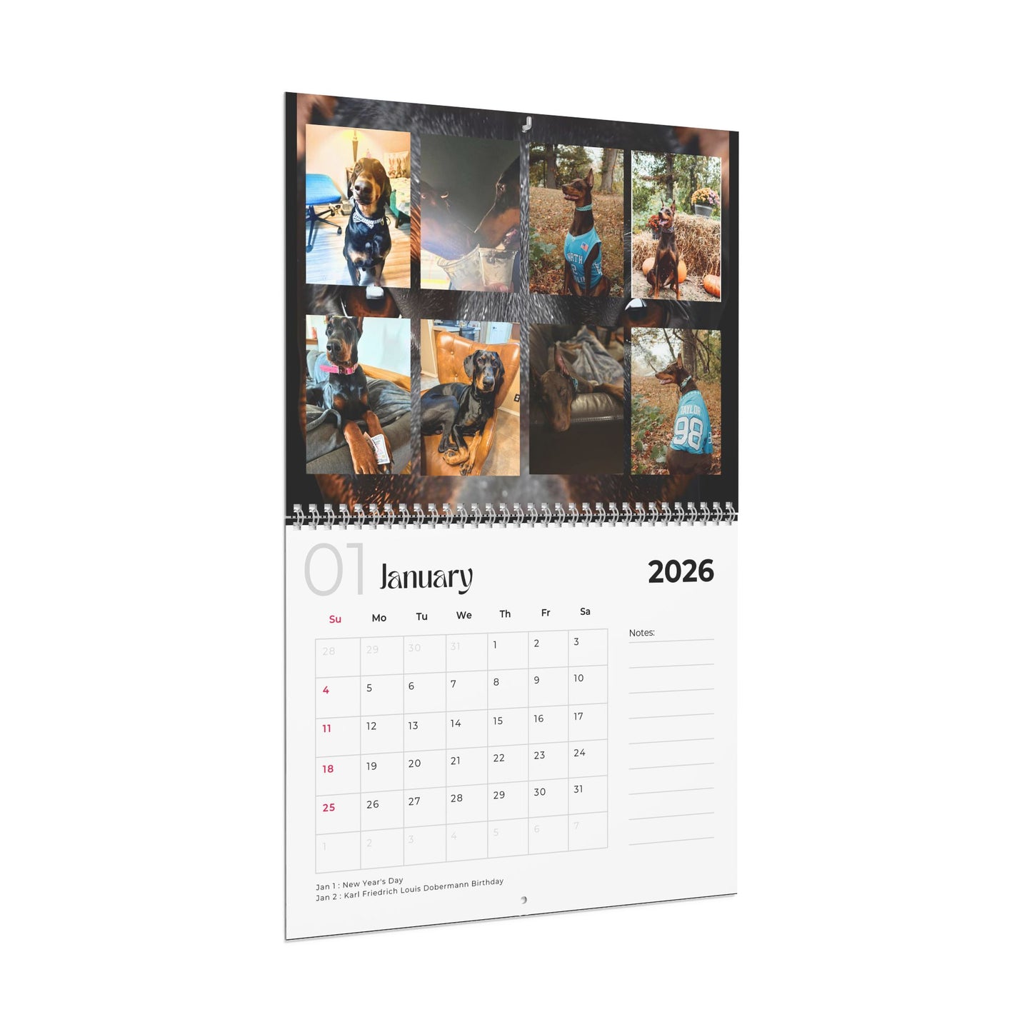 Edition 14 2026 Doberman Calendars