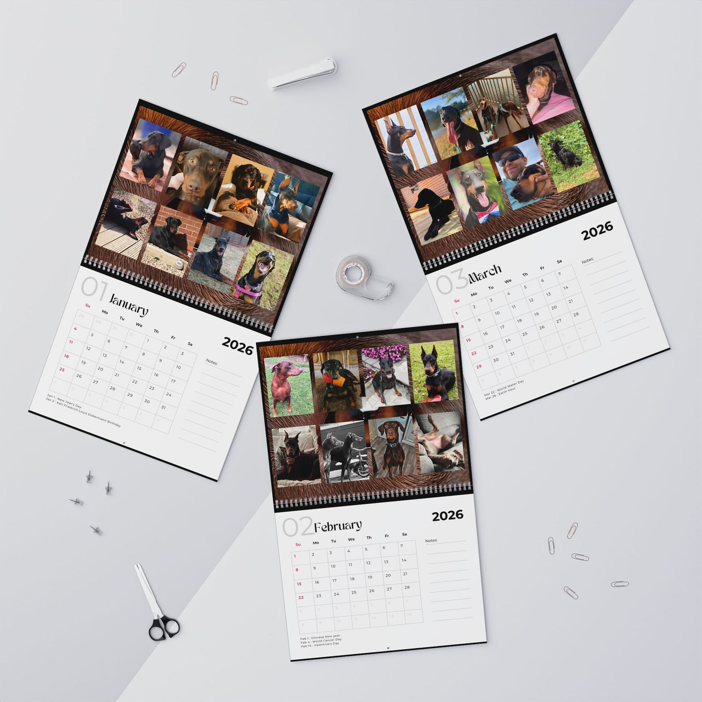 Edition 8 2026 Doberman Calendars