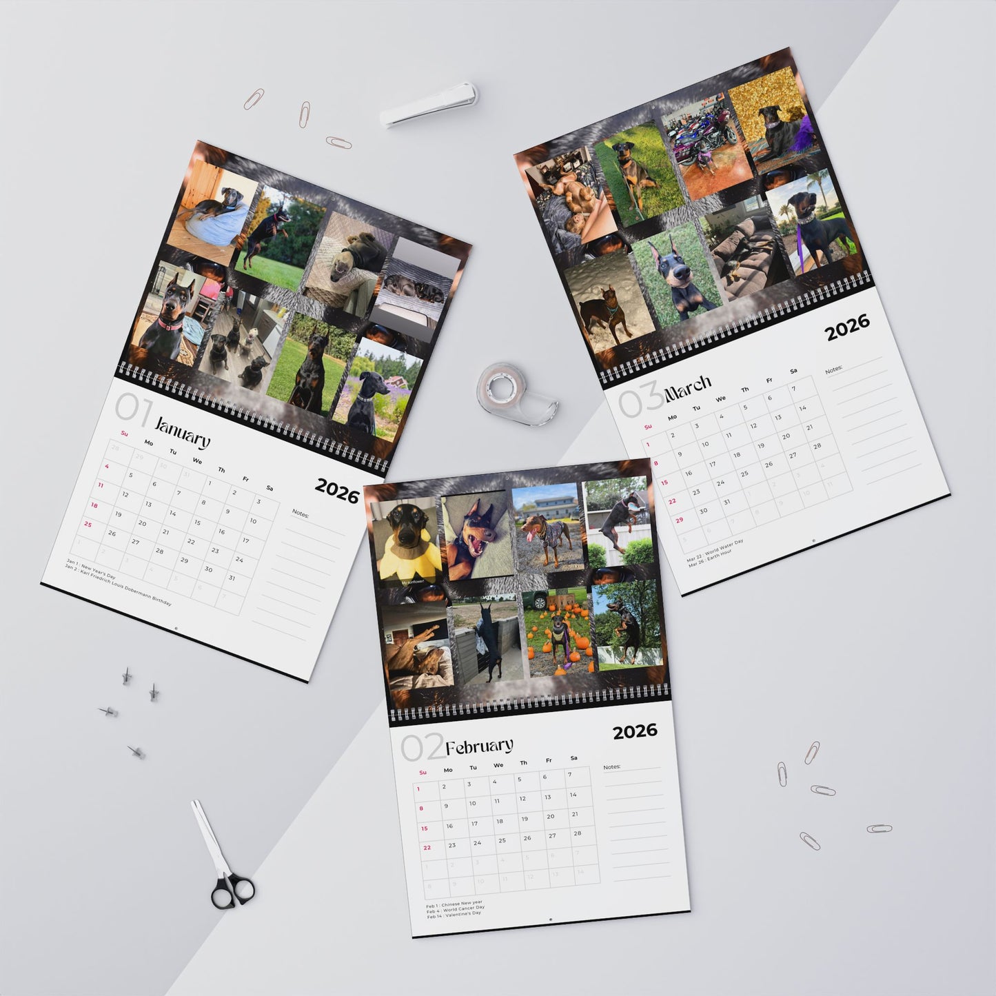 Edition 17 2026 Doberman Calendars