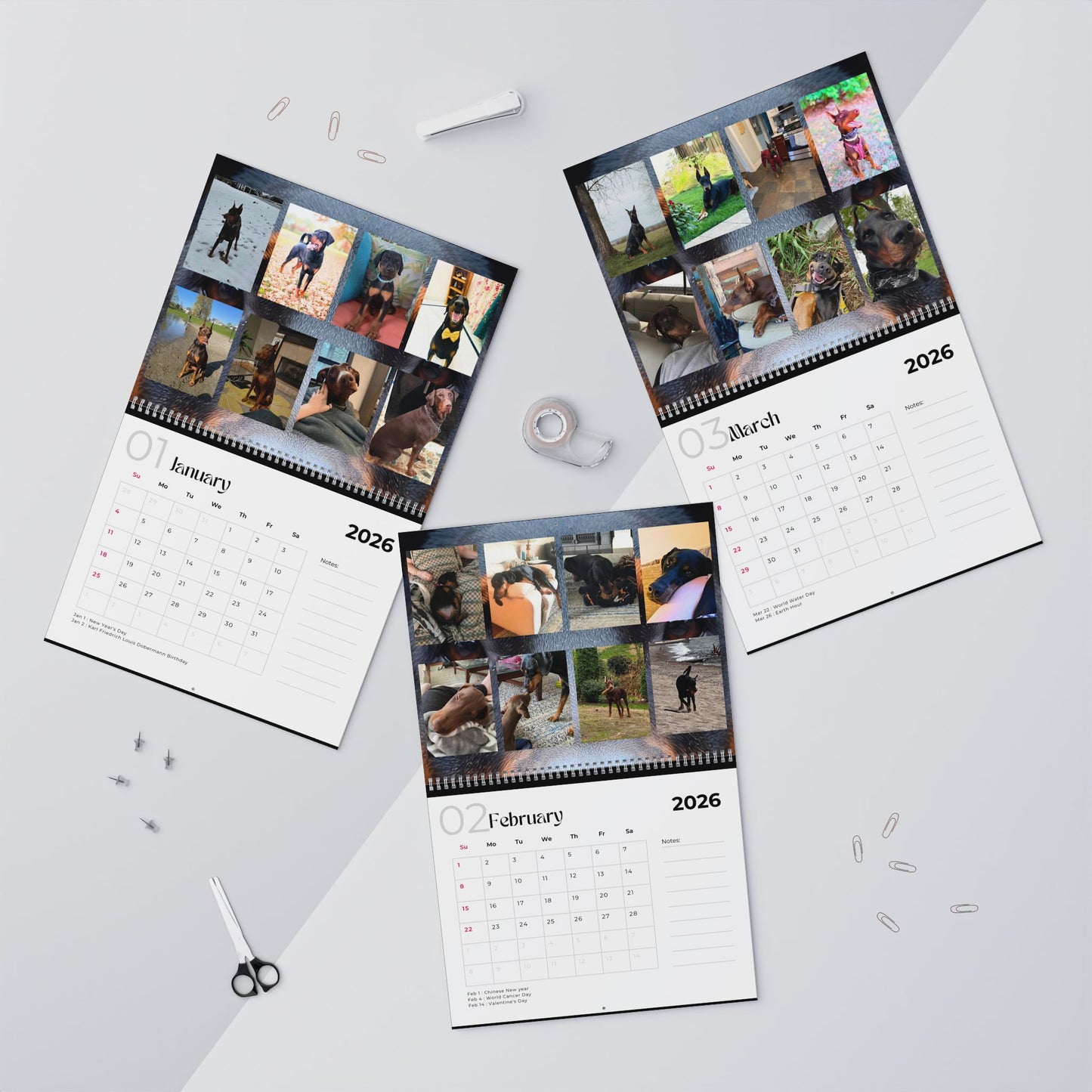 Edition 22 2026 Doberman Calendars