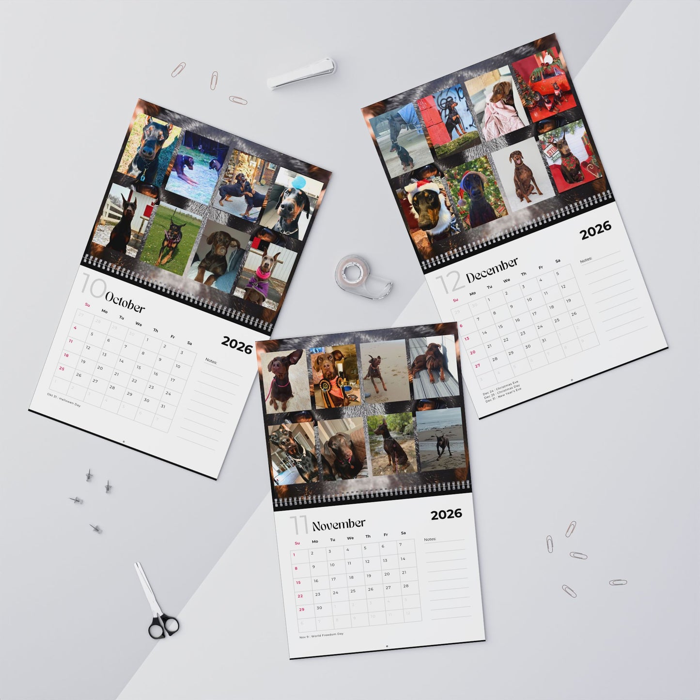 Edition 15 2026 Doberman Calendars