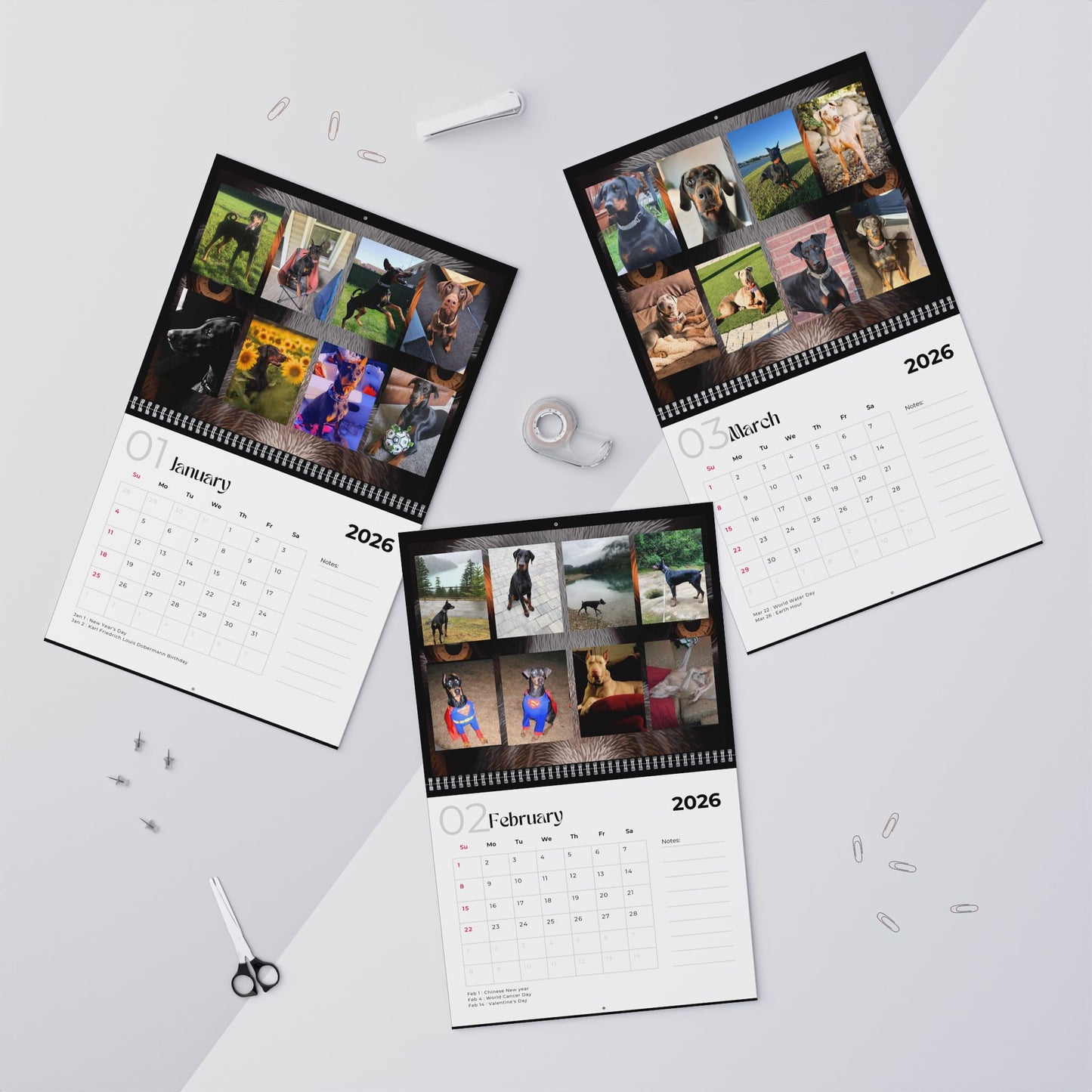 Edition 33 2026 Doberman Calendars