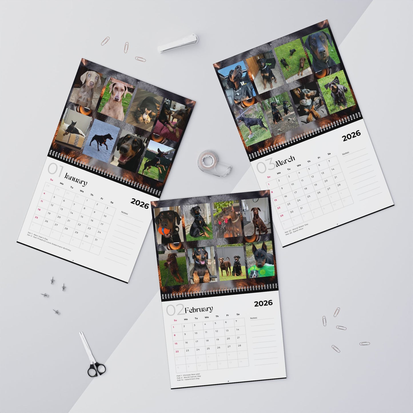 Edition 18 2026 Doberman Calendars