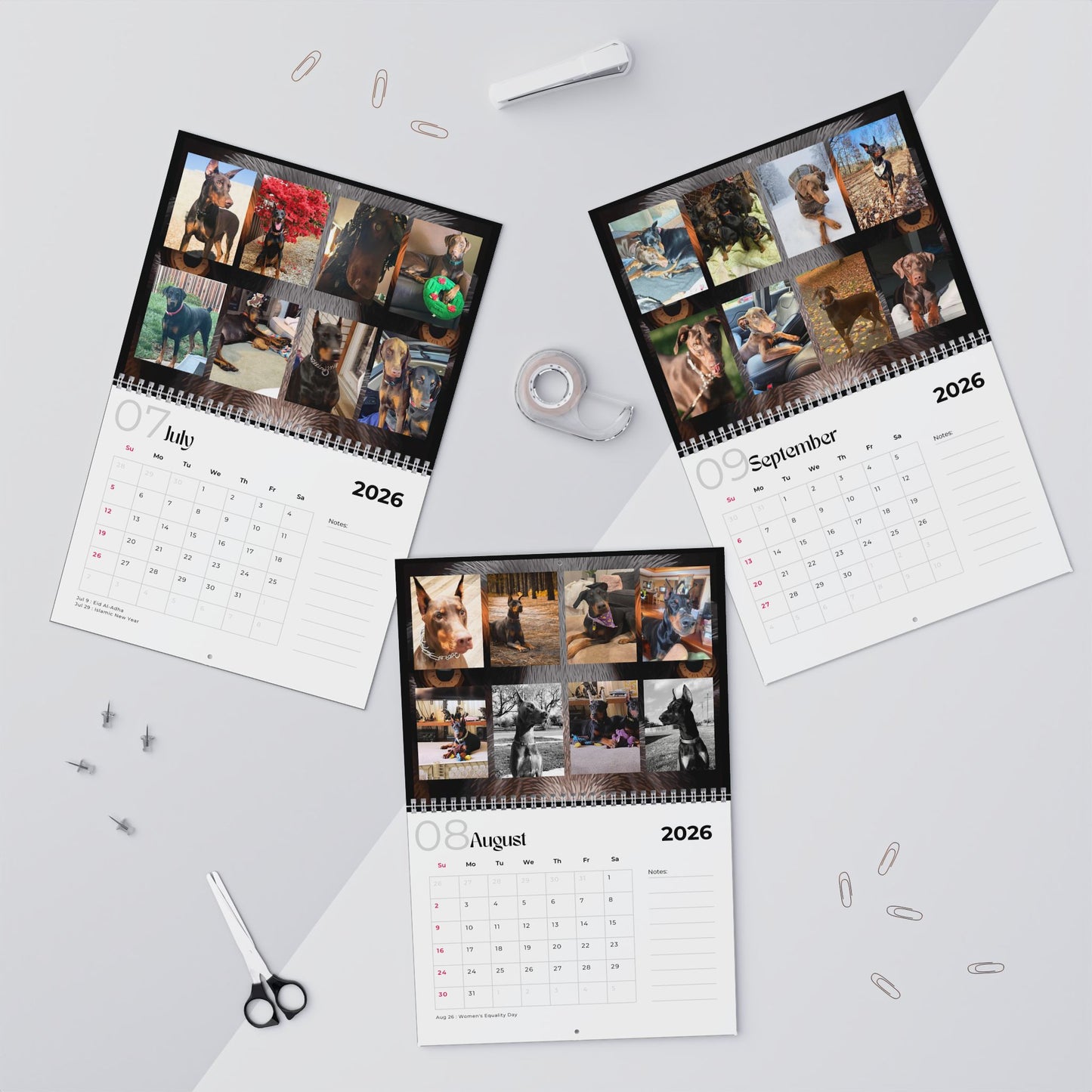 Edition 35 2026 Doberman Calendars