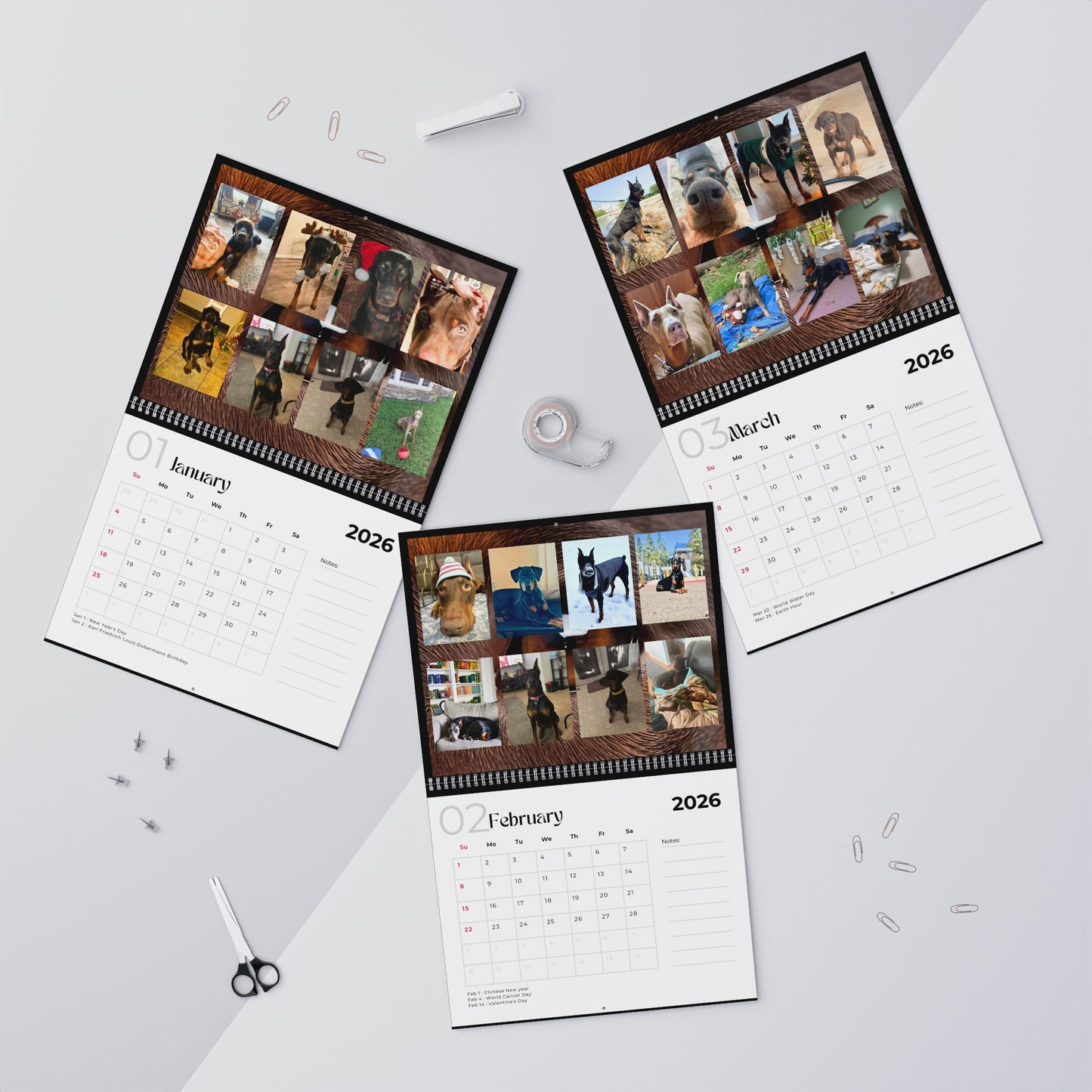 Edition 12 2026 Doberman Calendars