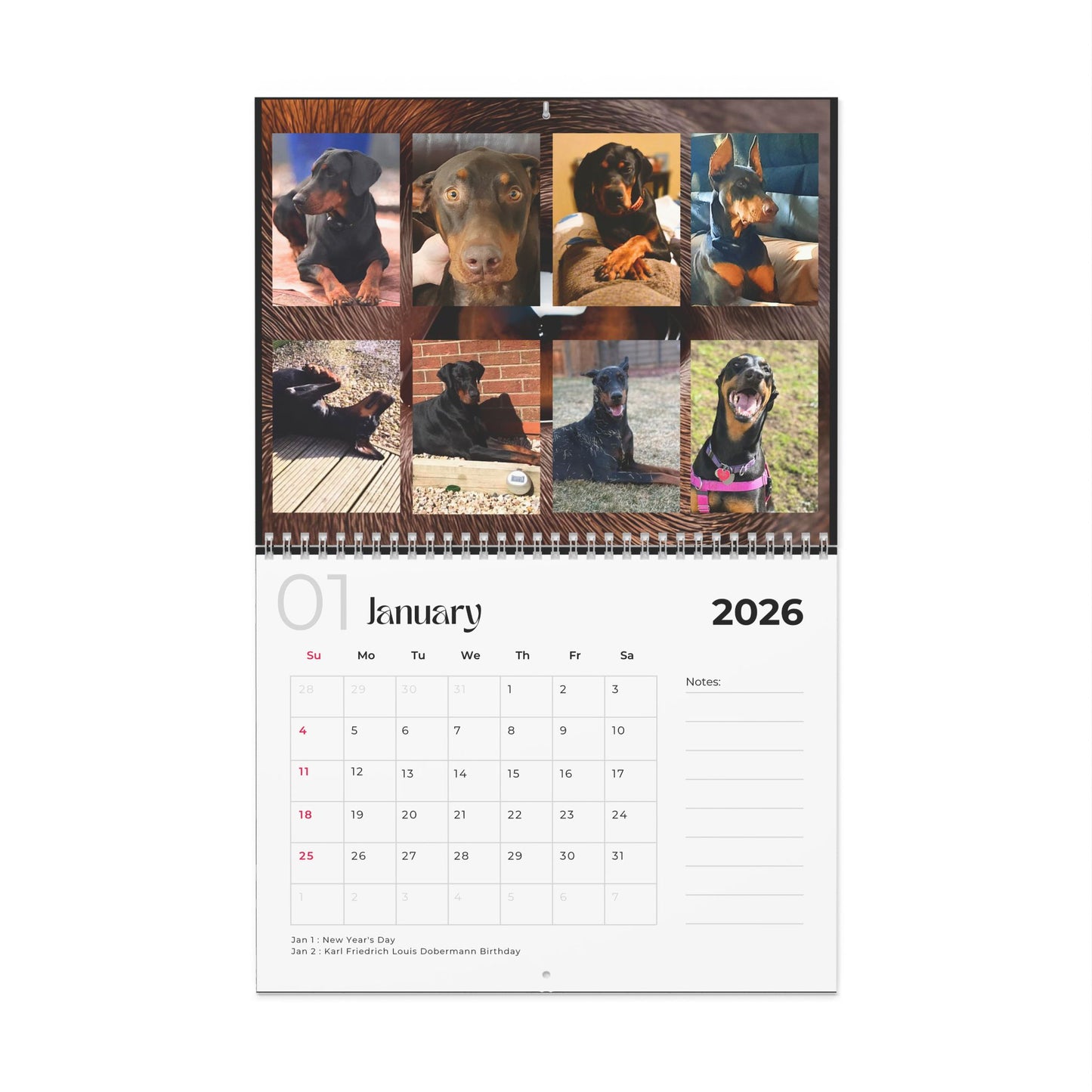 Edition 8 2026 Doberman Calendars