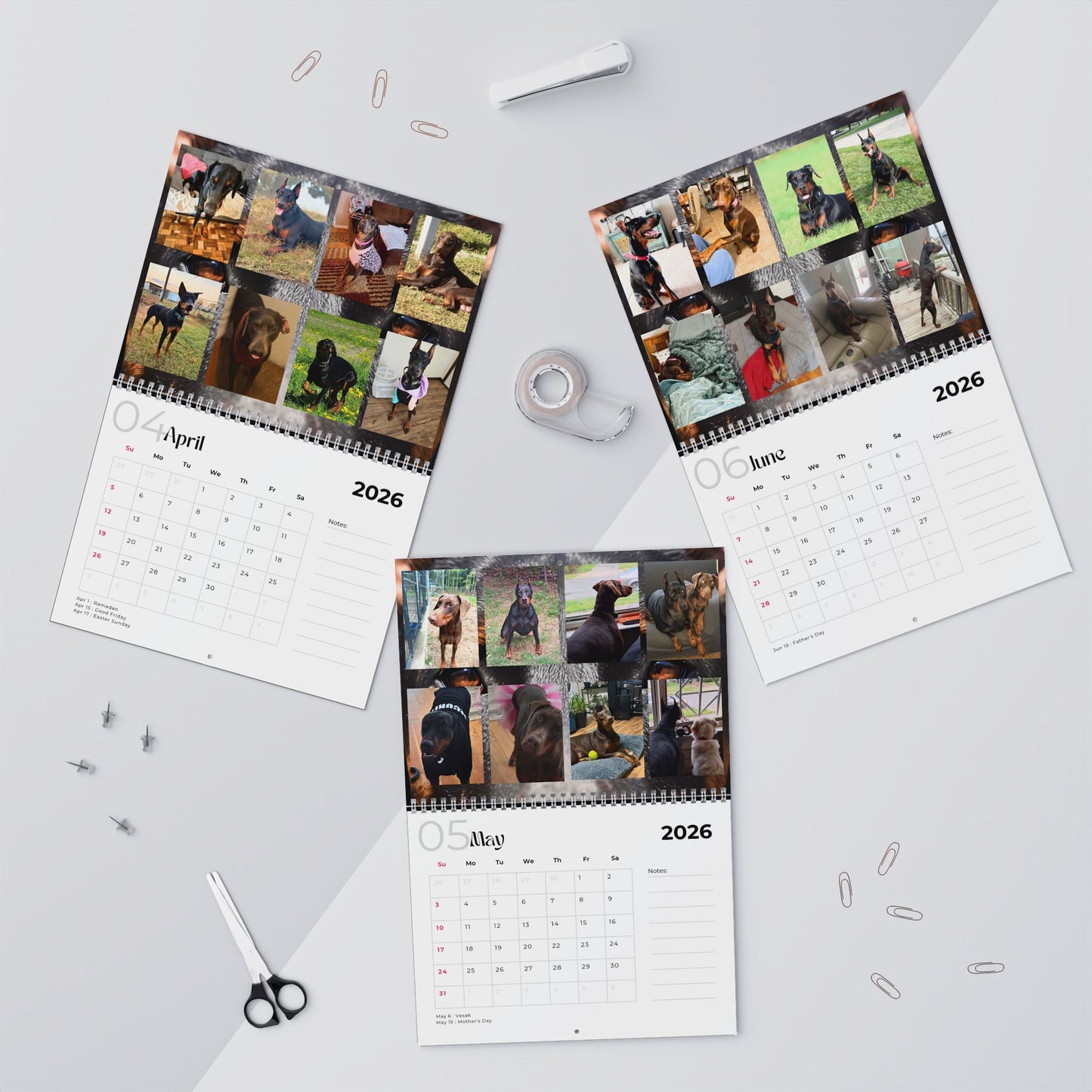 Edition 16 2026 Doberman Calendars