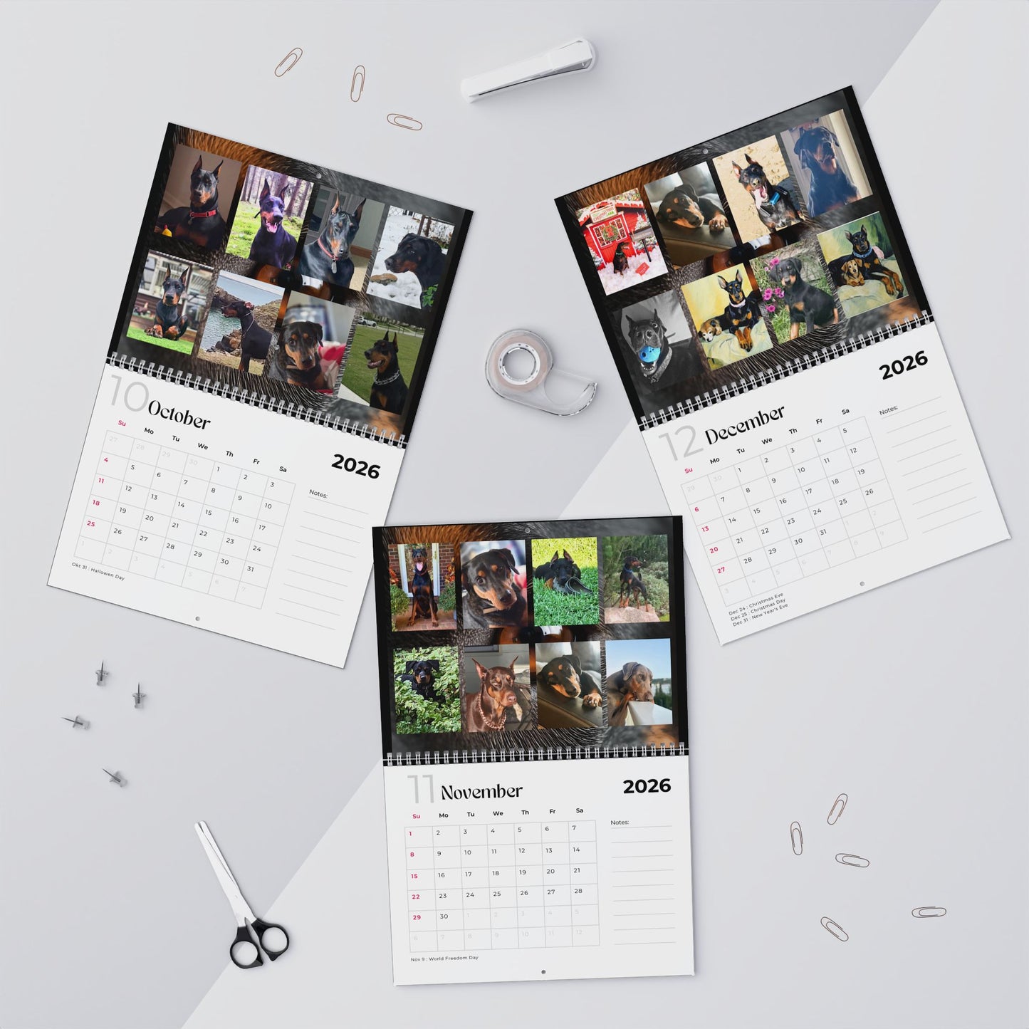 Edition 5 2026 Doberman Calendars