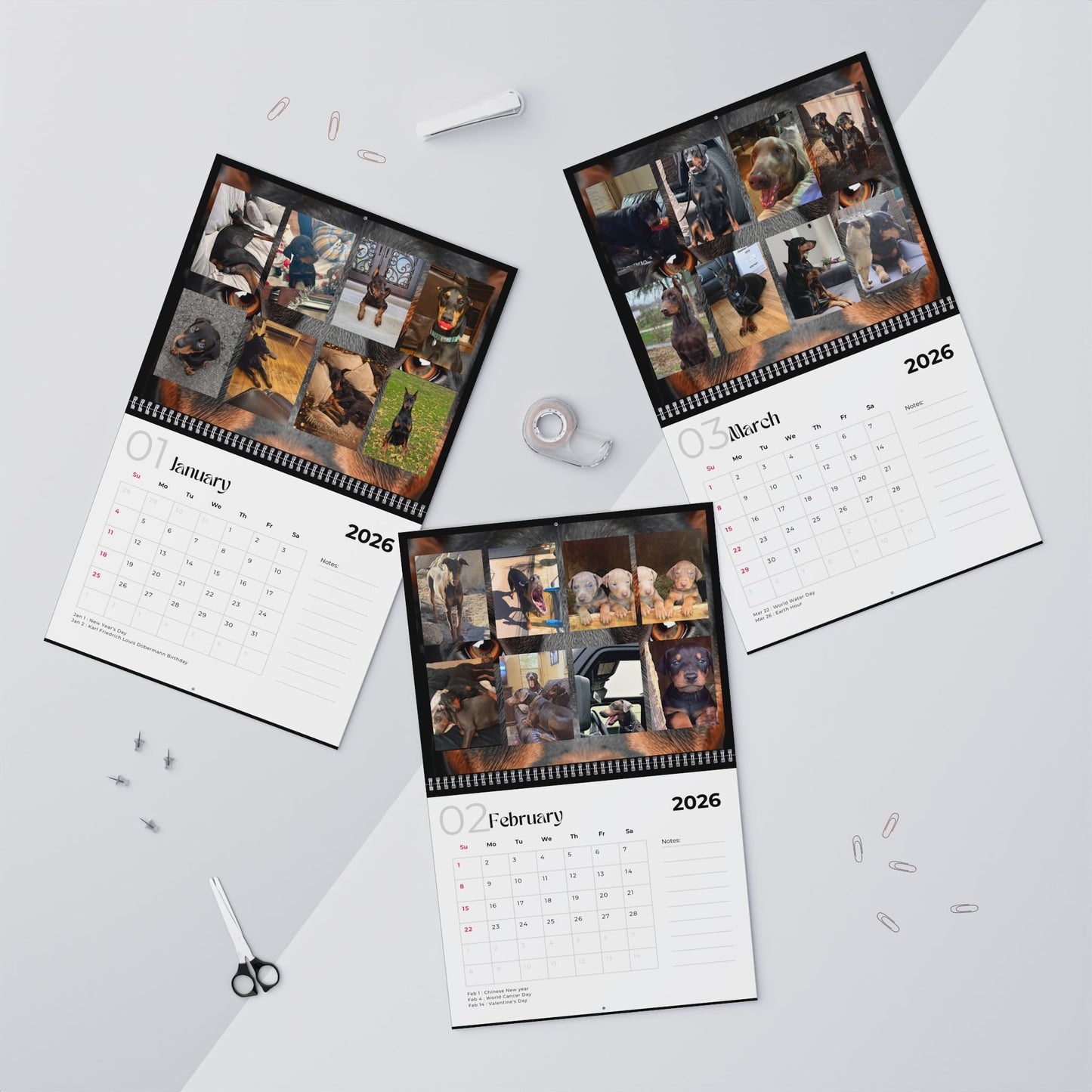 Edition 28 2026 Doberman Calendars
