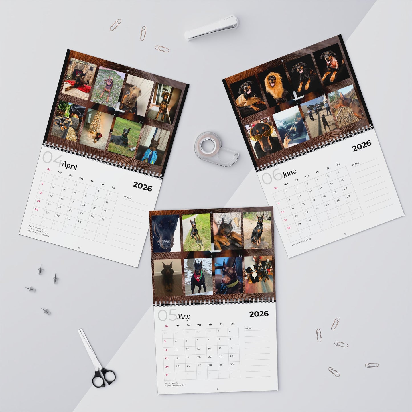 Edition 10 2026 Doberman Calendars