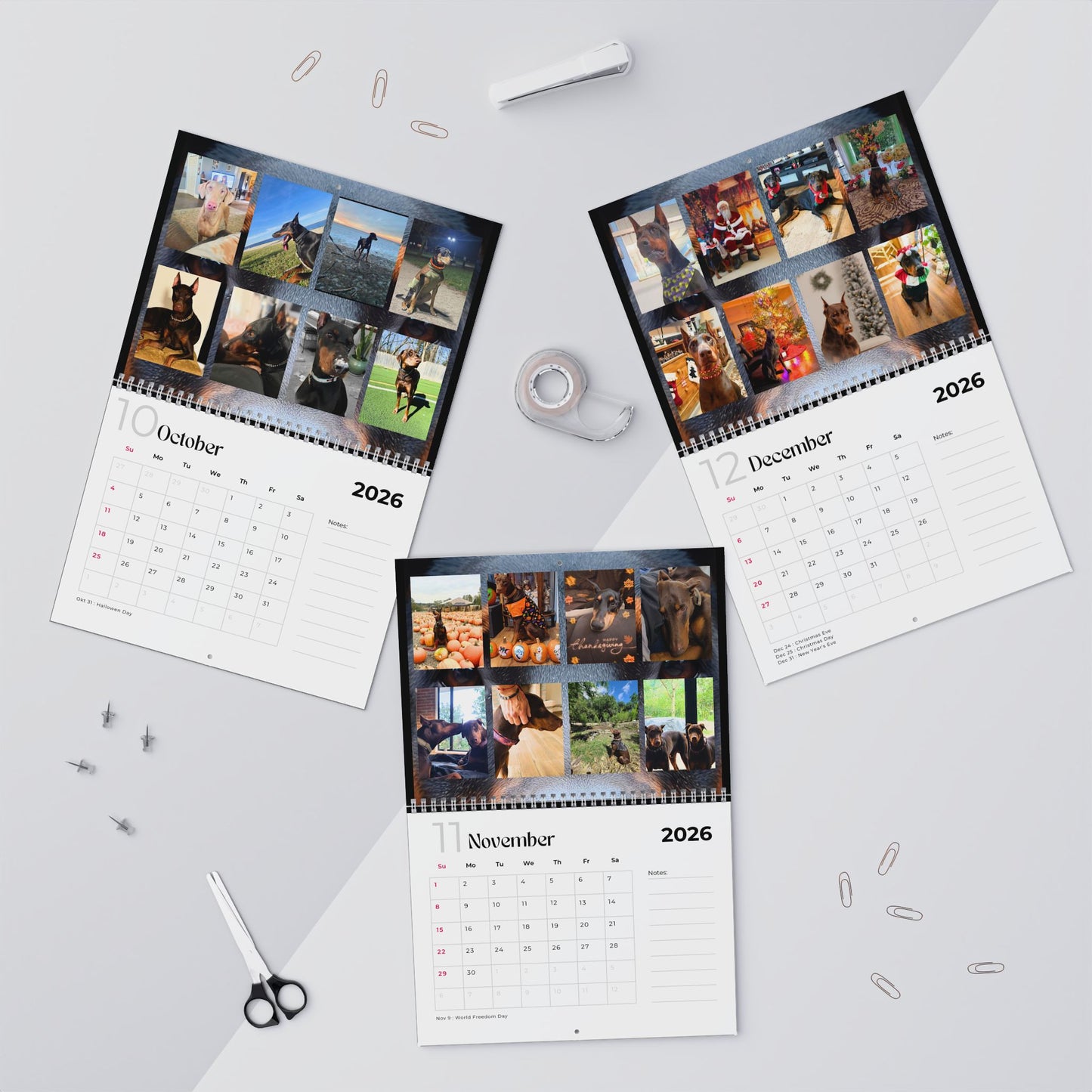 Edition 24 2026 Doberman Calendars