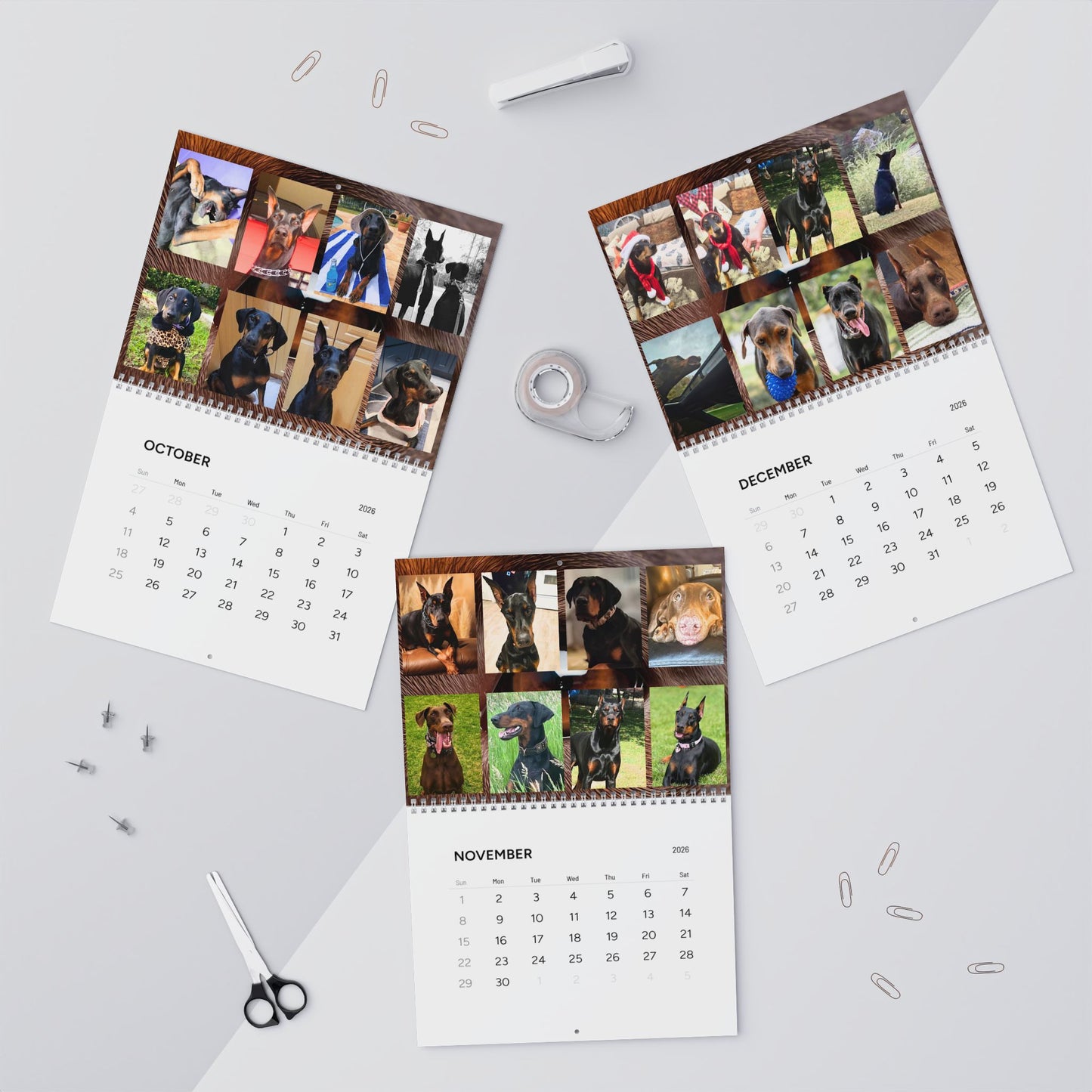 Doberman Edition 7  Wall Calendar 2026