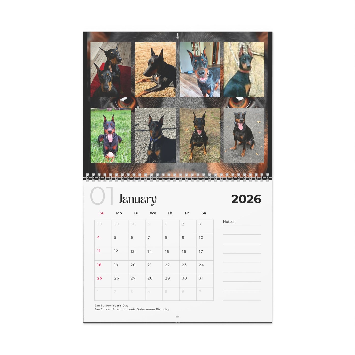 Edition 26 2026 Doberman Calendars