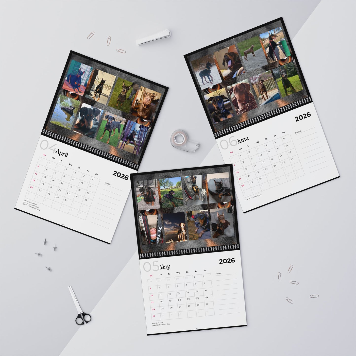 Edition 30 2026 Doberman Calendars
