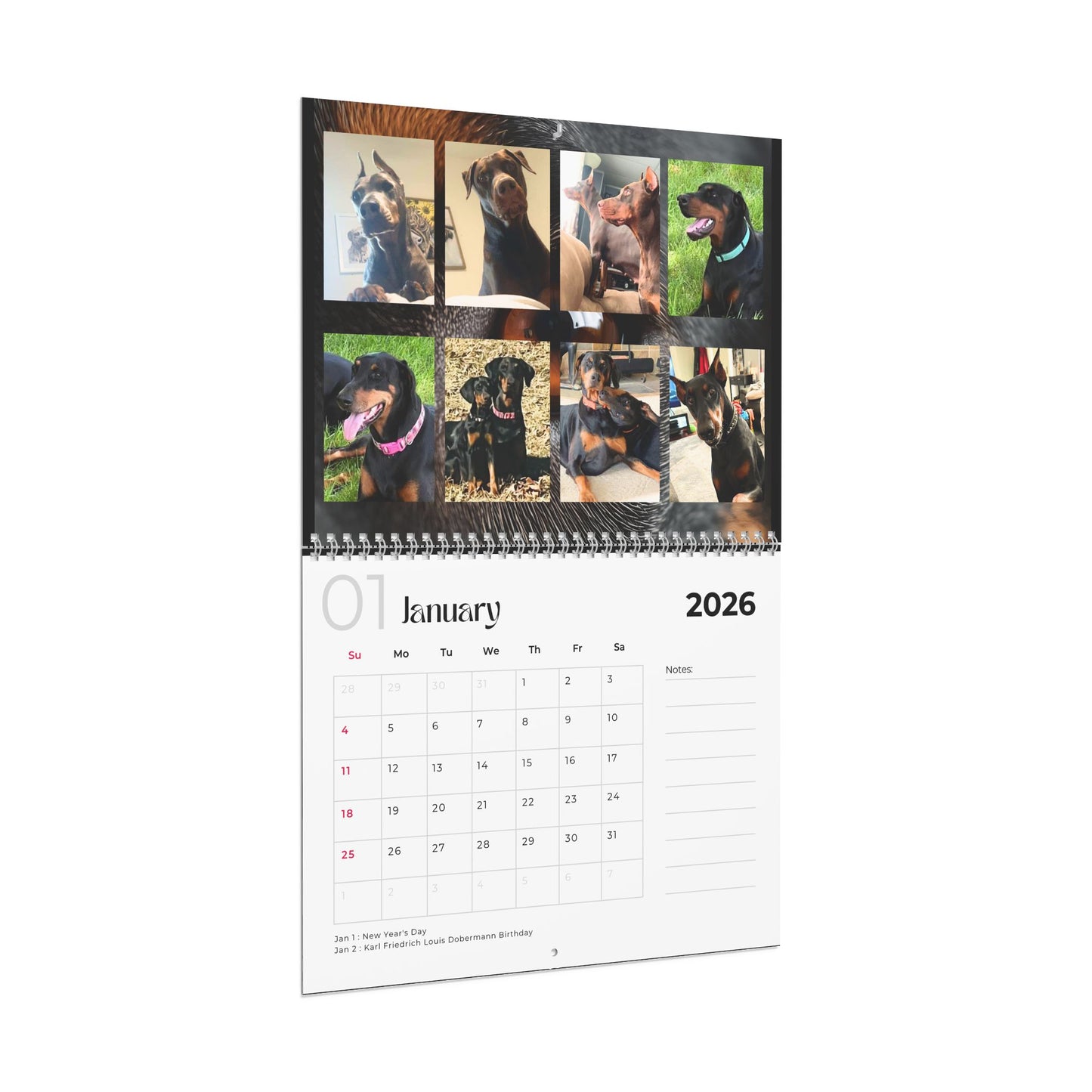 Edition 5 2026 Doberman Calendars