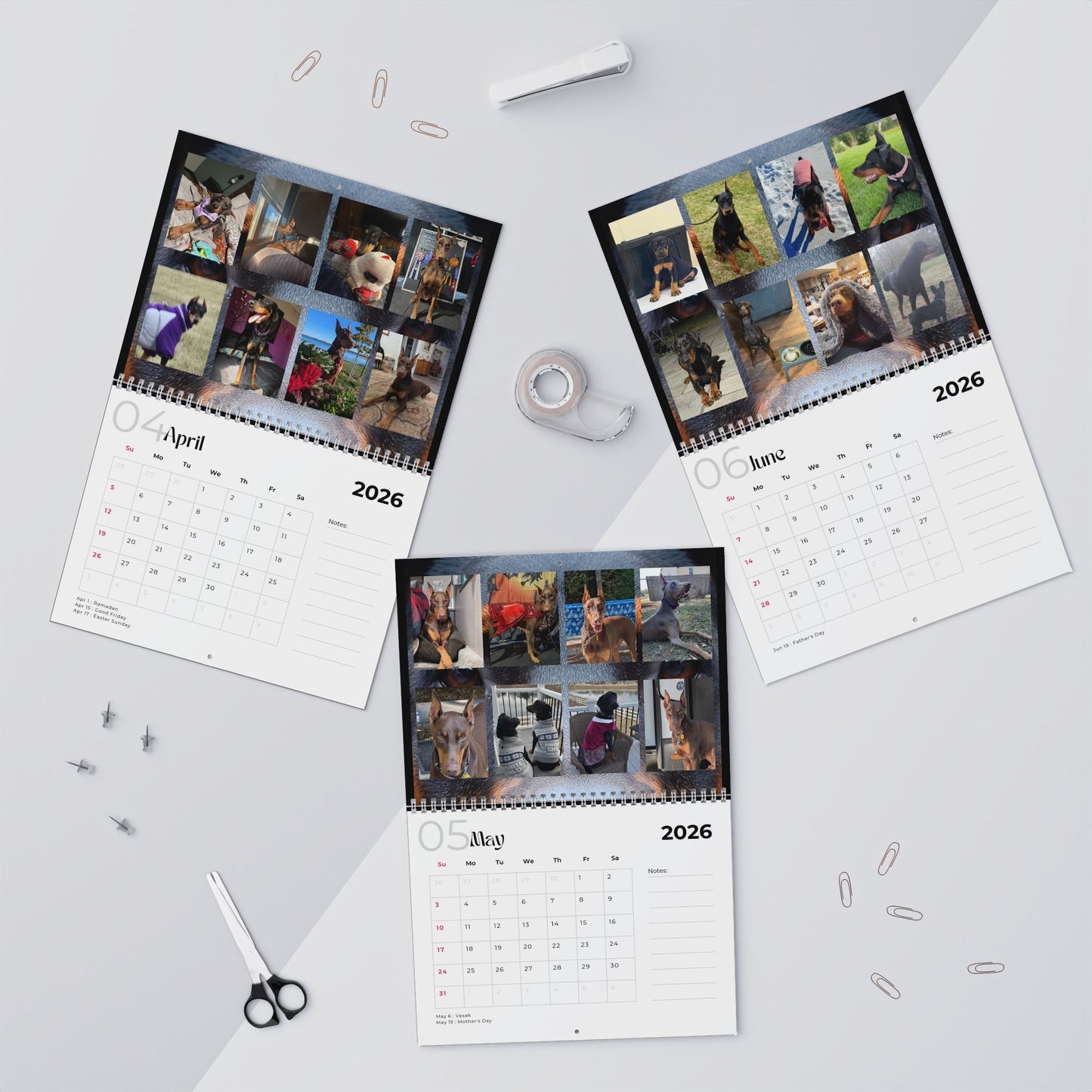 Edition 24 2026 Doberman Calendars